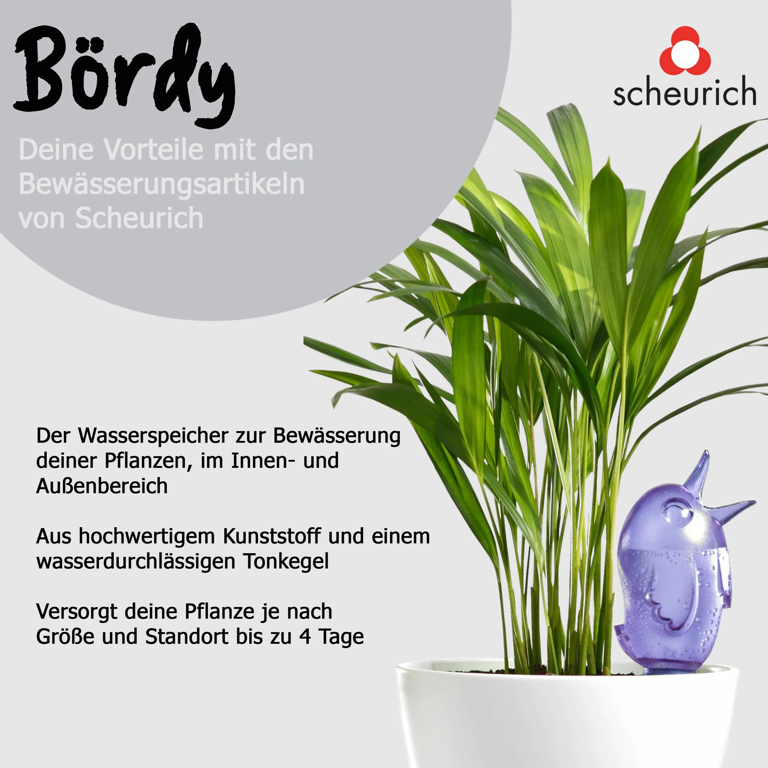 Scheurich 510507 akcesoria roślinne Bördy S, niebieskie Ø 10 cm, wysokość 15 cm