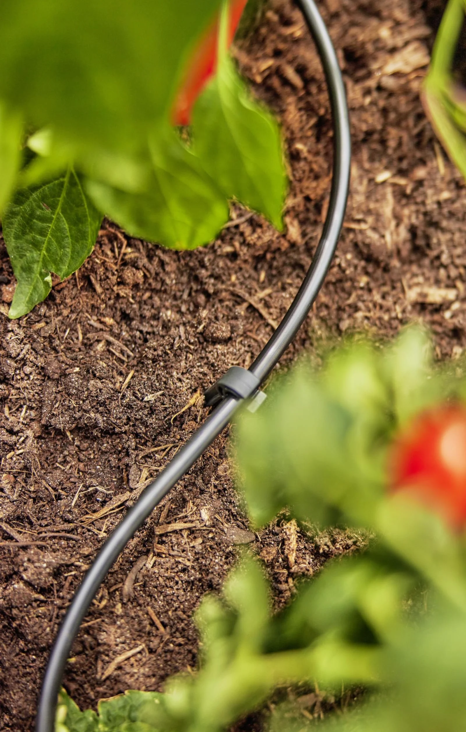 Gardena Micro-Drip System Rura Rozdzielcza 4,6 mm (3/16") 50 m Elastyczna Rura Doprowadzająca UV