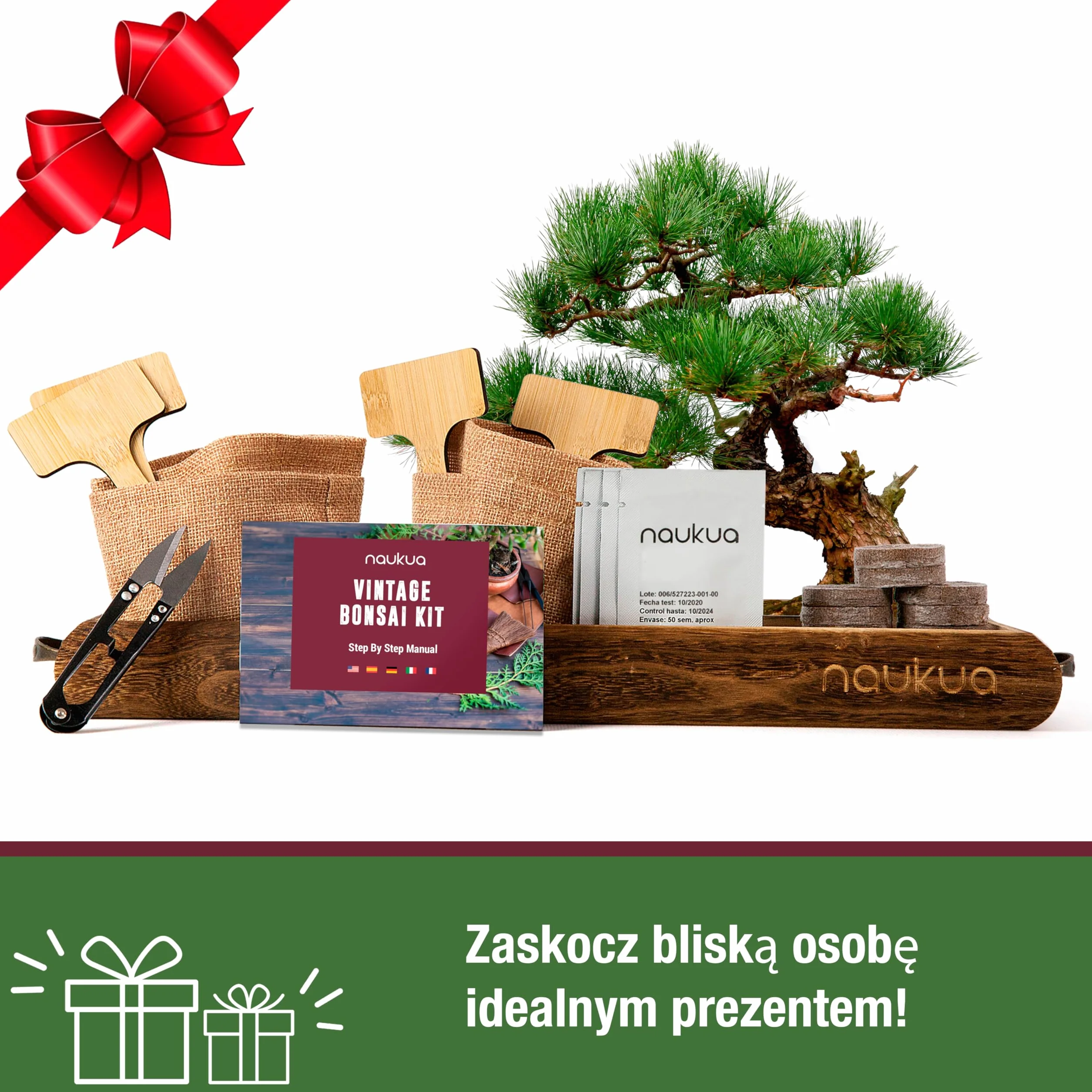 Zestaw Startowy Bonsai - 4 Drzewka Bonsai (Organiczne Nasiona) - Unikalny Pomysł Na Prezent - Wszystko, Czego Potrzebujesz, Aby Wyhodować Własne Drzewka Bonsai w Domu - Kompletna Instrukcja Obsługi Krok Po Kroku.