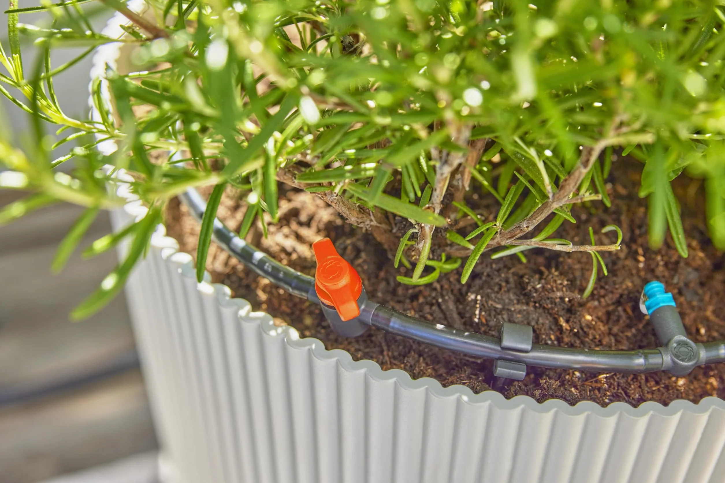 Gardena system Micro-Drip nawadnianie kropelkowe zestaw tarasowy 30 roślin