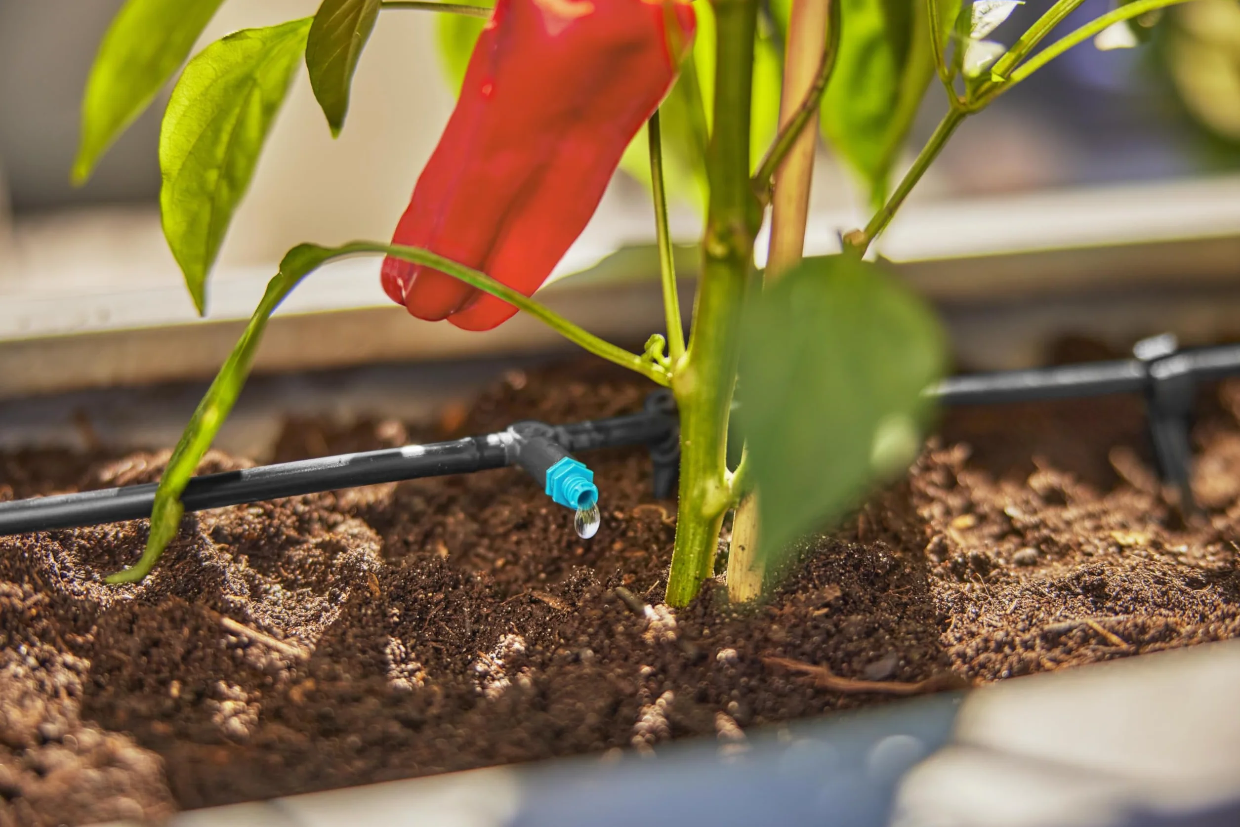 Gardena system Micro-Drip nawadnianie kropelkowe zestaw tarasowy 30 roślin