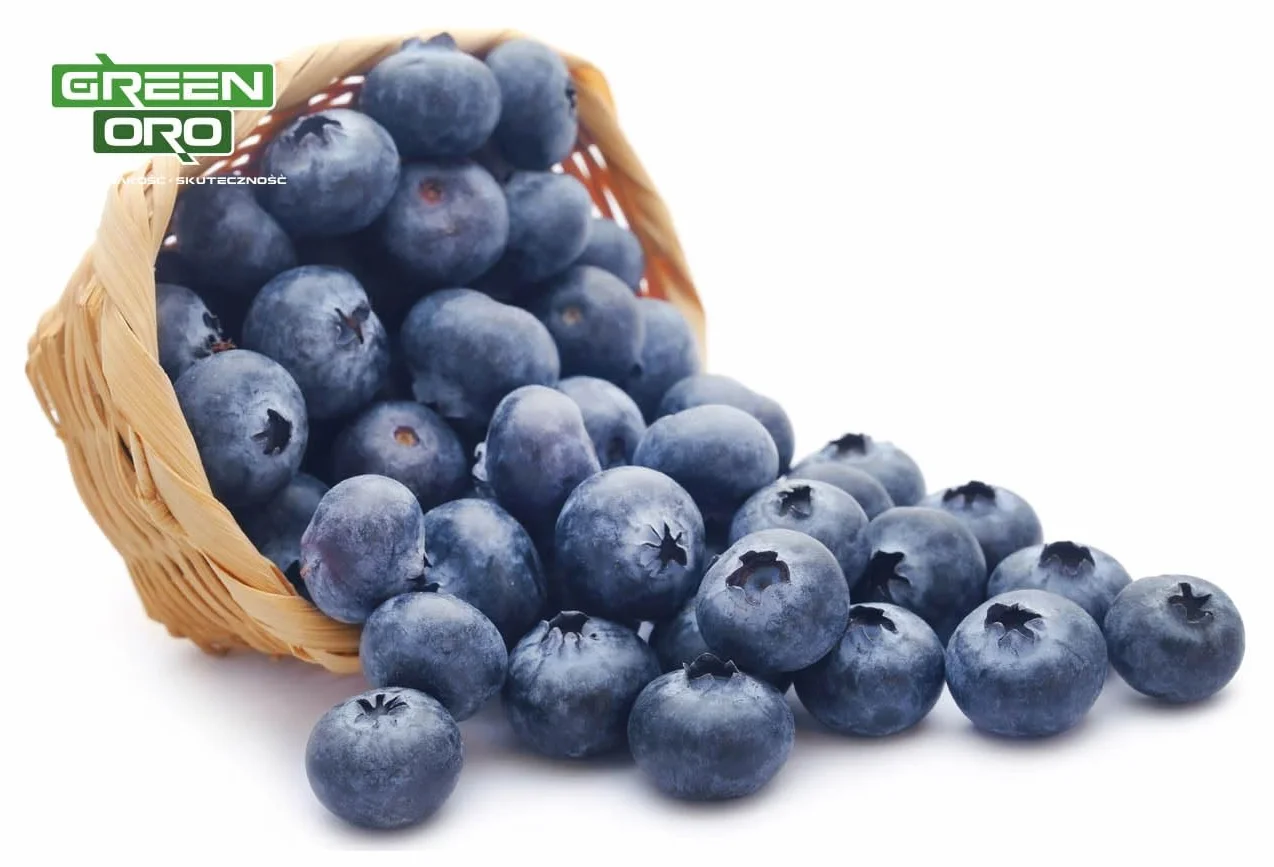 ORO BILBERRY 5KG Nawóz do borówek i roślin kwasolubnych