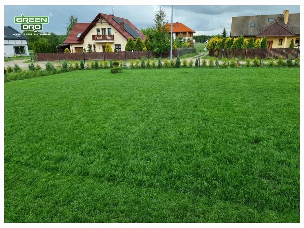 CHISSO SAI SEI 24KG Regeneracyjny nawóz do trawników zdrowy gęsty wzrost trawy
