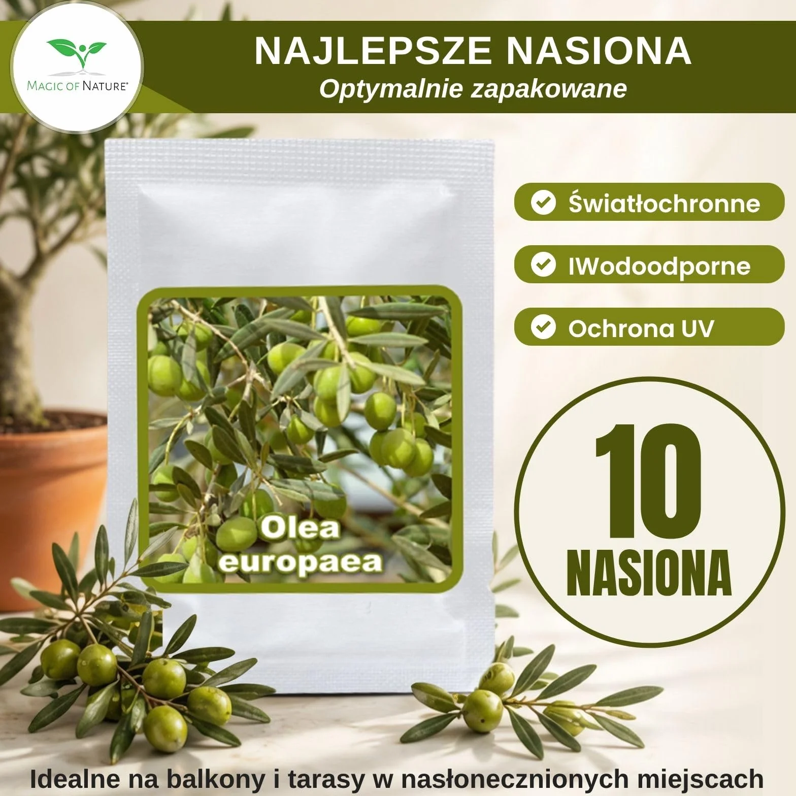 Nasiona Oliwki Olea europaea 10 Szt. Drzewko Śródziemnomorskie do Ogrodu Bonsai