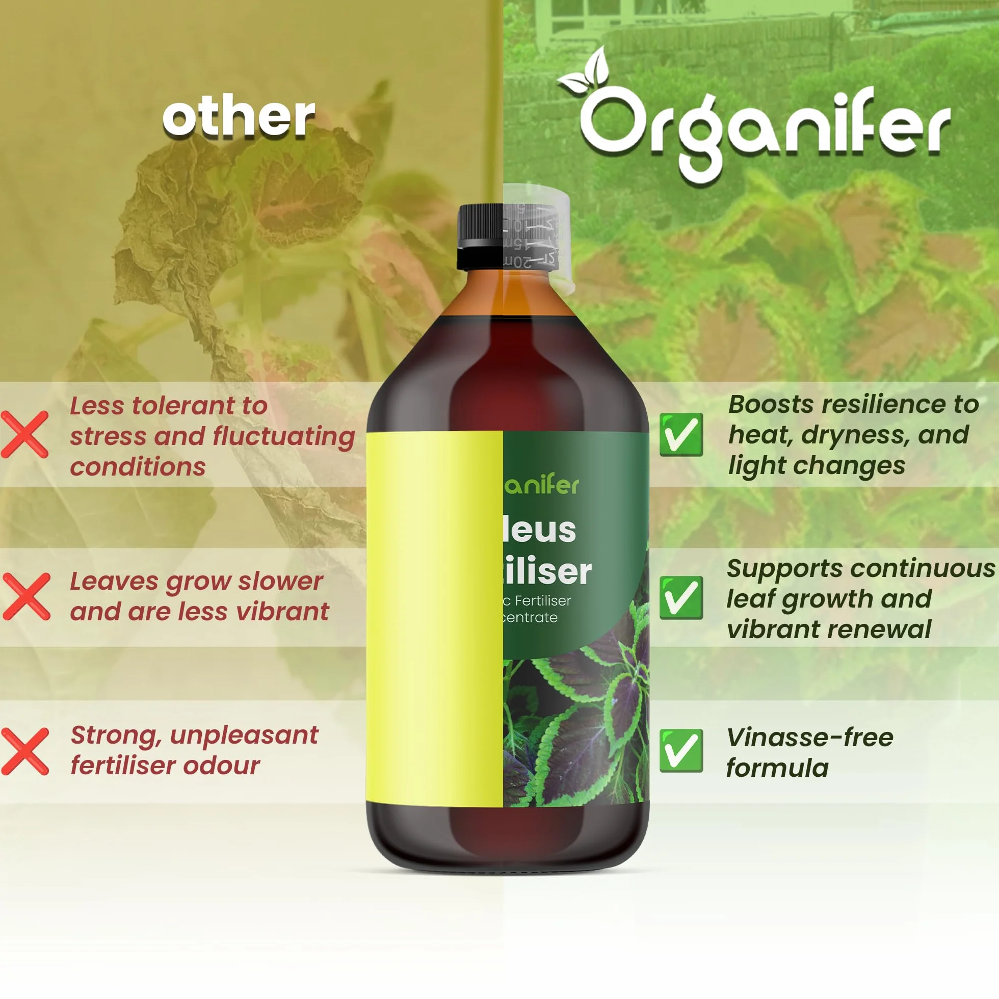 Koleus Nawóz Płynny 2x1L – Organiczny nawóz płynny do roślin dla zdrowych liści i intensywnych kolorów – Wspiera korzenie i witalność – Organifer