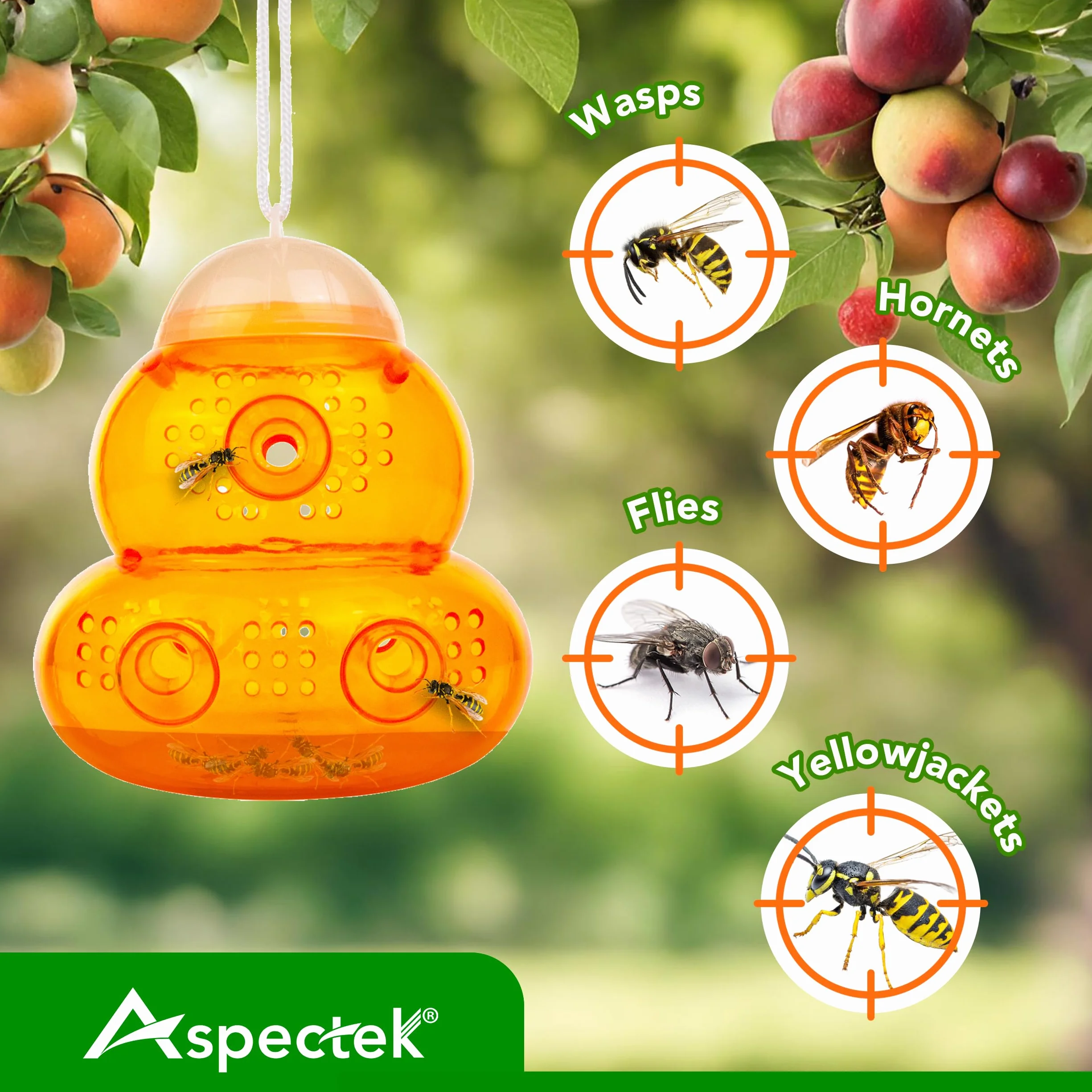 ASPECTEK Pułapka Na Osy, 2 Sztuki, Żółta