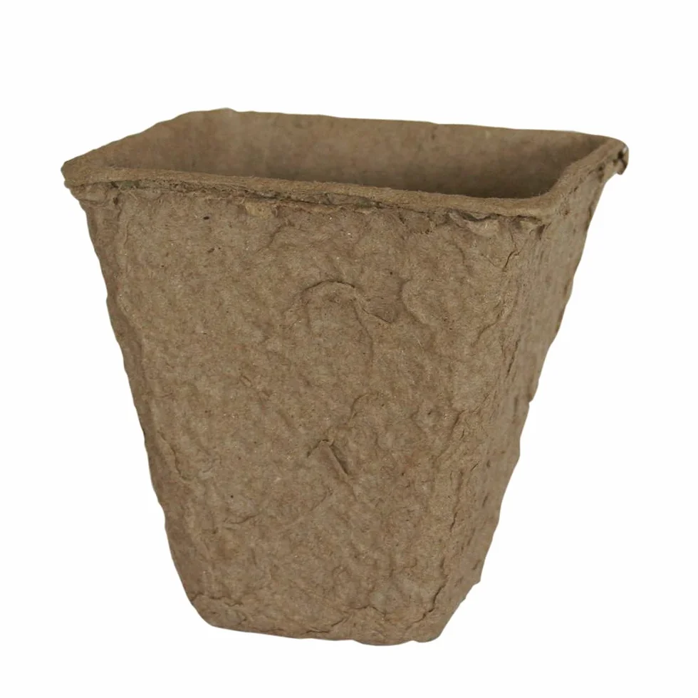Flower 55043 – doniczki na sadzonki, biodegradowalne, kwadratowe, 18 sztuk, 8 x 8 cm