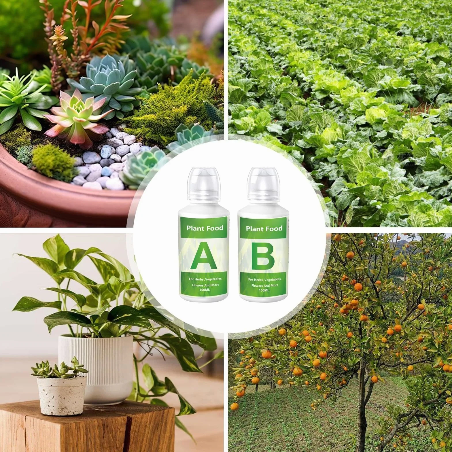 Hydroponic Nutrients | Plant Food Hydroponics | Liquid Plant Food for Hydroponics | Hydroponics Plant Food a & B | Indoor Plant Fertilizer for Hydroponics Growing System
