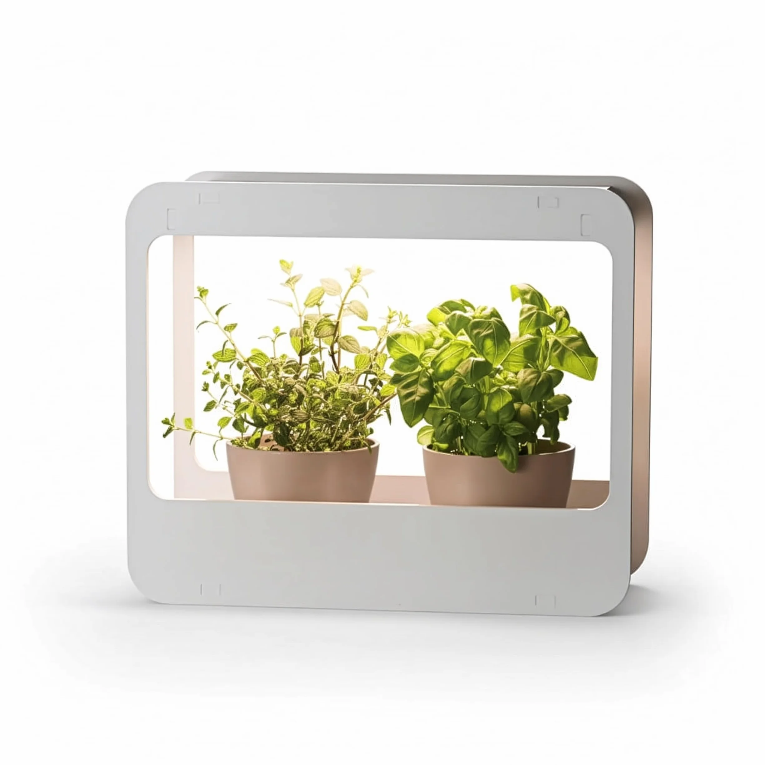 Romberg Homegarden mini szklarnia pokojowa z oświetleniem LED biała 50,5 x 21 x 40 cm