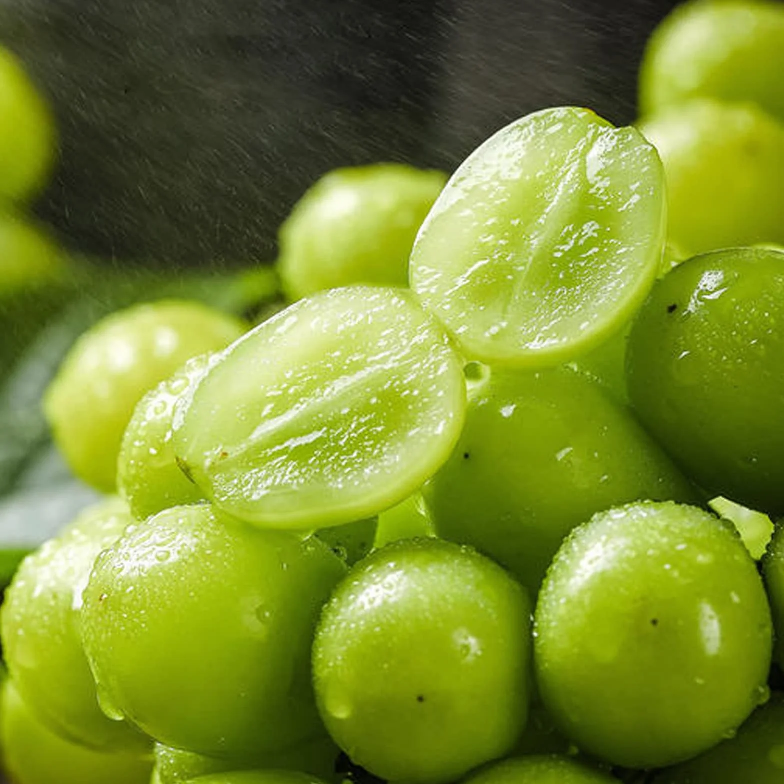 Nasiona winogron, 100 szt. Nasiona winogron do sadzenia nasion do sadzenia warzyw i owoców, słodkie nasiona owoców bez GMO Shine-Muscat Grape Home Garden Hydroponic Seeds Posiew