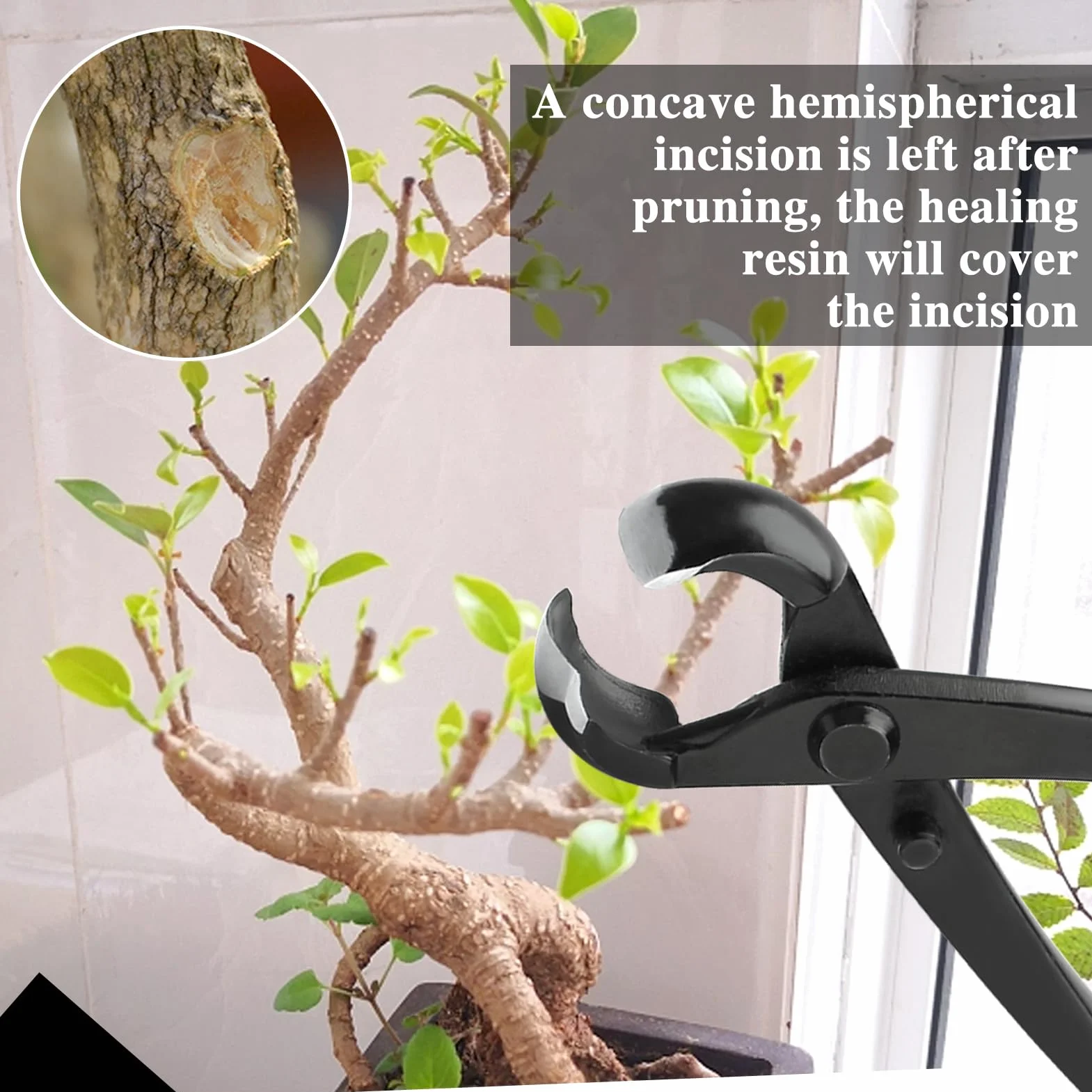 SPEEDWOX Zestaw narzędzi bonsai: wklęsłe frezy, kuliste pokrętła, nożyczki