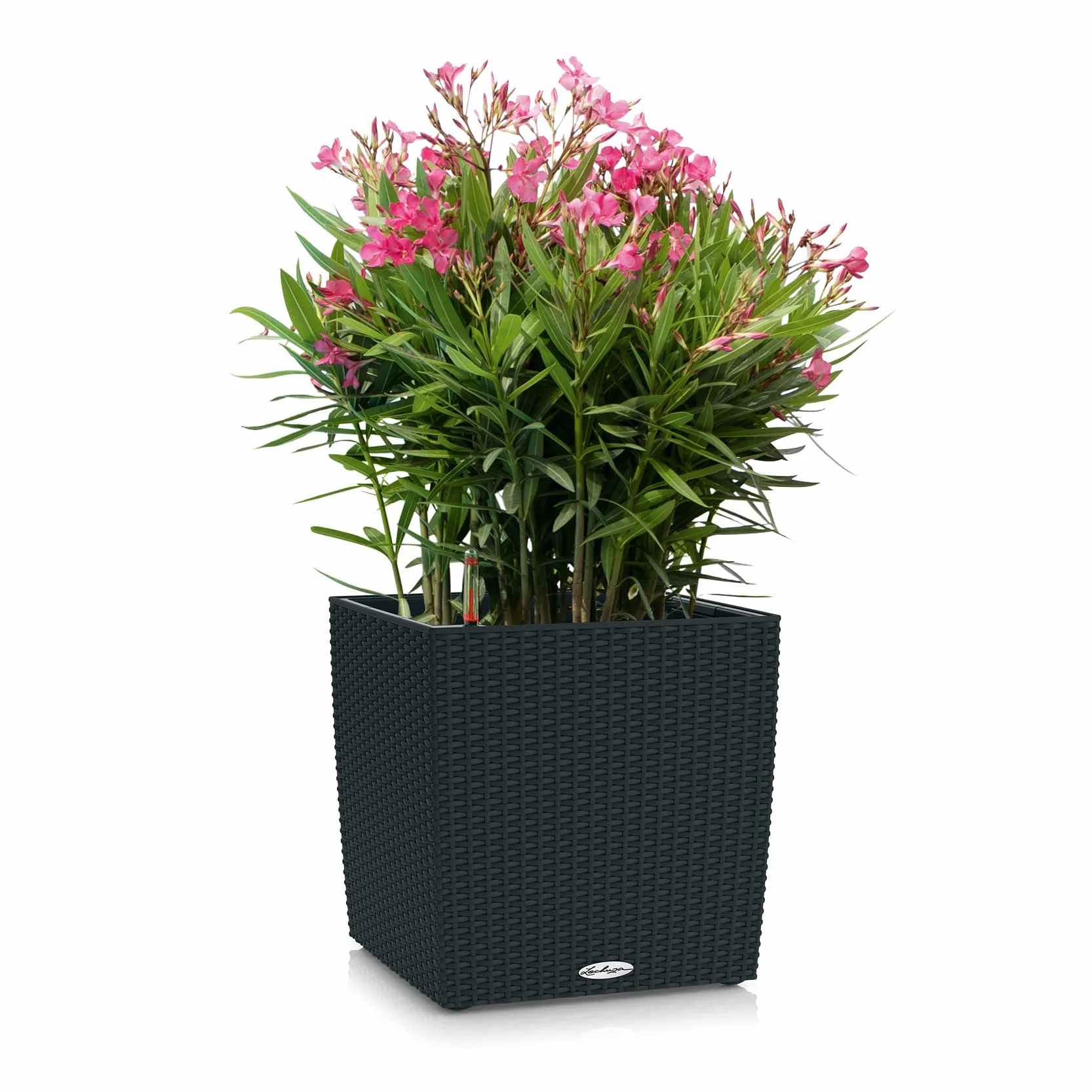 Lechuza Donica Cube Cottage 30 Grafitowy Czarny