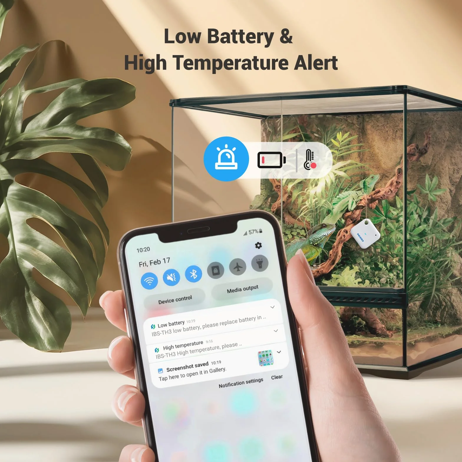 INKBIRD IBS-TH3 wewnętrzny termometr Wi-Fi, higrometr ze sterowaniem za pomocą aplikacji, niezawodny pomiar od 20°C do 60°C, do domu, biura, szklarni, gadów, piwnicy na wino