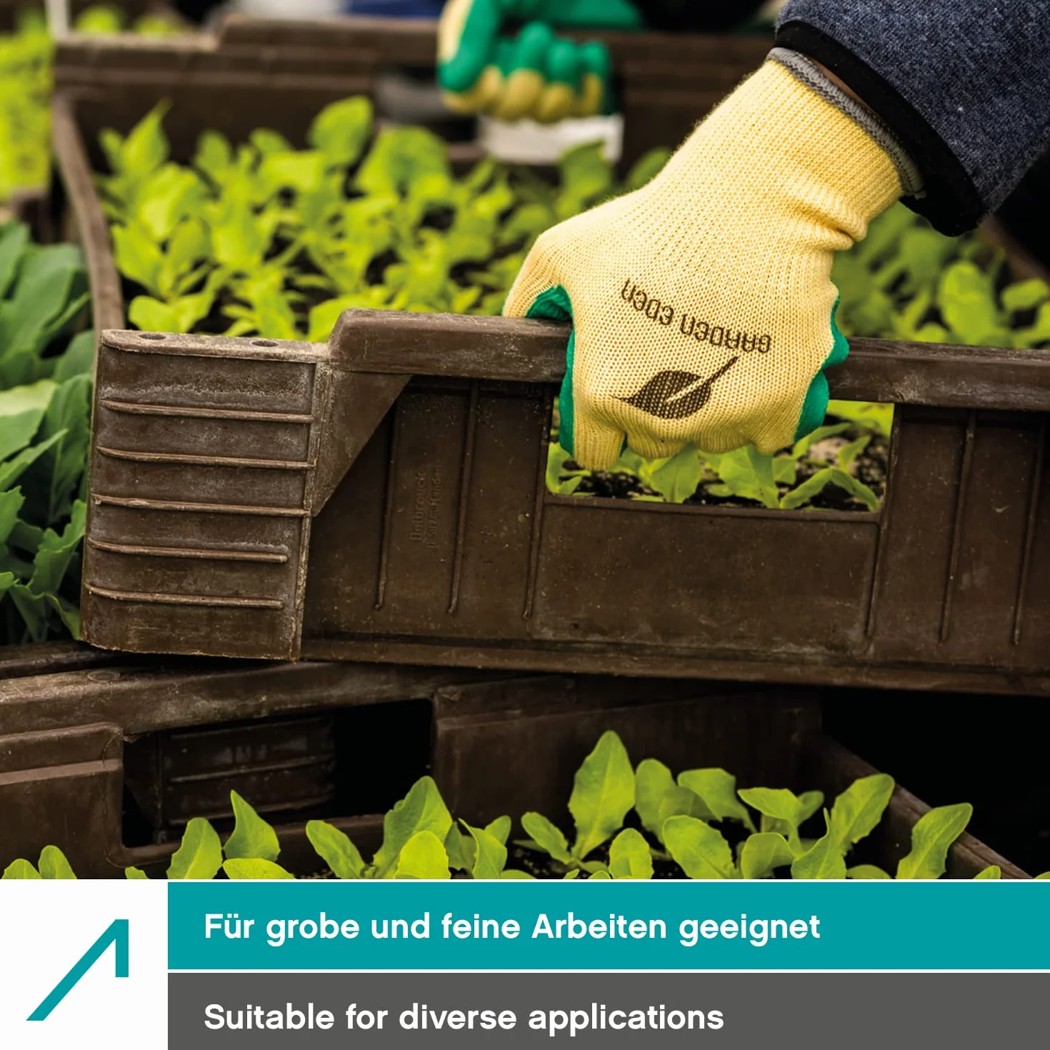 ACE Garden Eden rękawice ogrodnicze 3 pary antypoślizgowe elastyczne EN 388 S