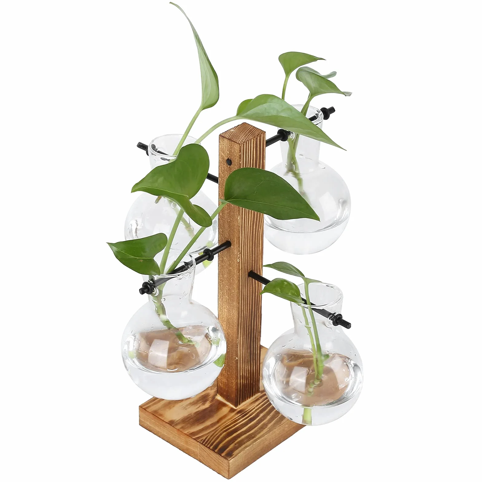 Terraria Roślinne z Drewnianym Stojakiem Retro Pulpit Hydroponika Air Planter Holder 4 żarówki Szklany Wazon do Rozmnażania Roślin
