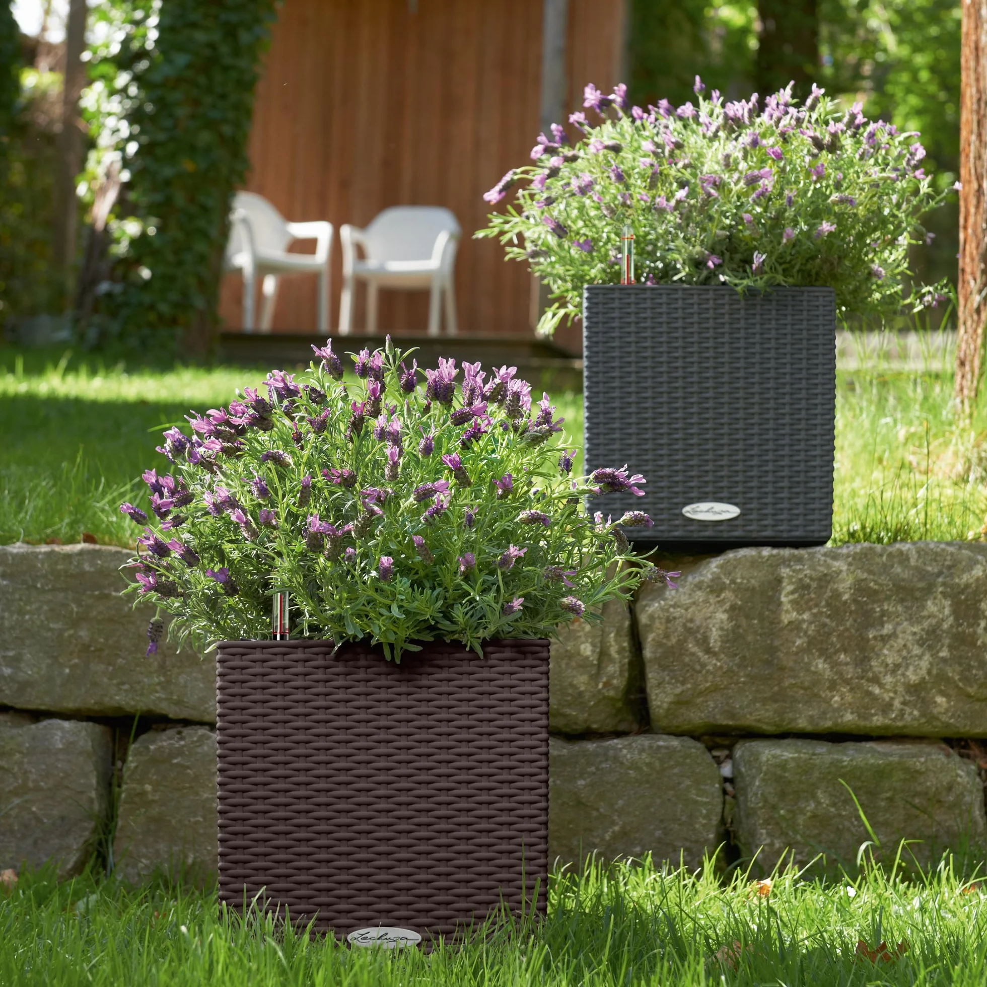Lechuza Donica Cube Cottage 30 Grafitowy Czarny
