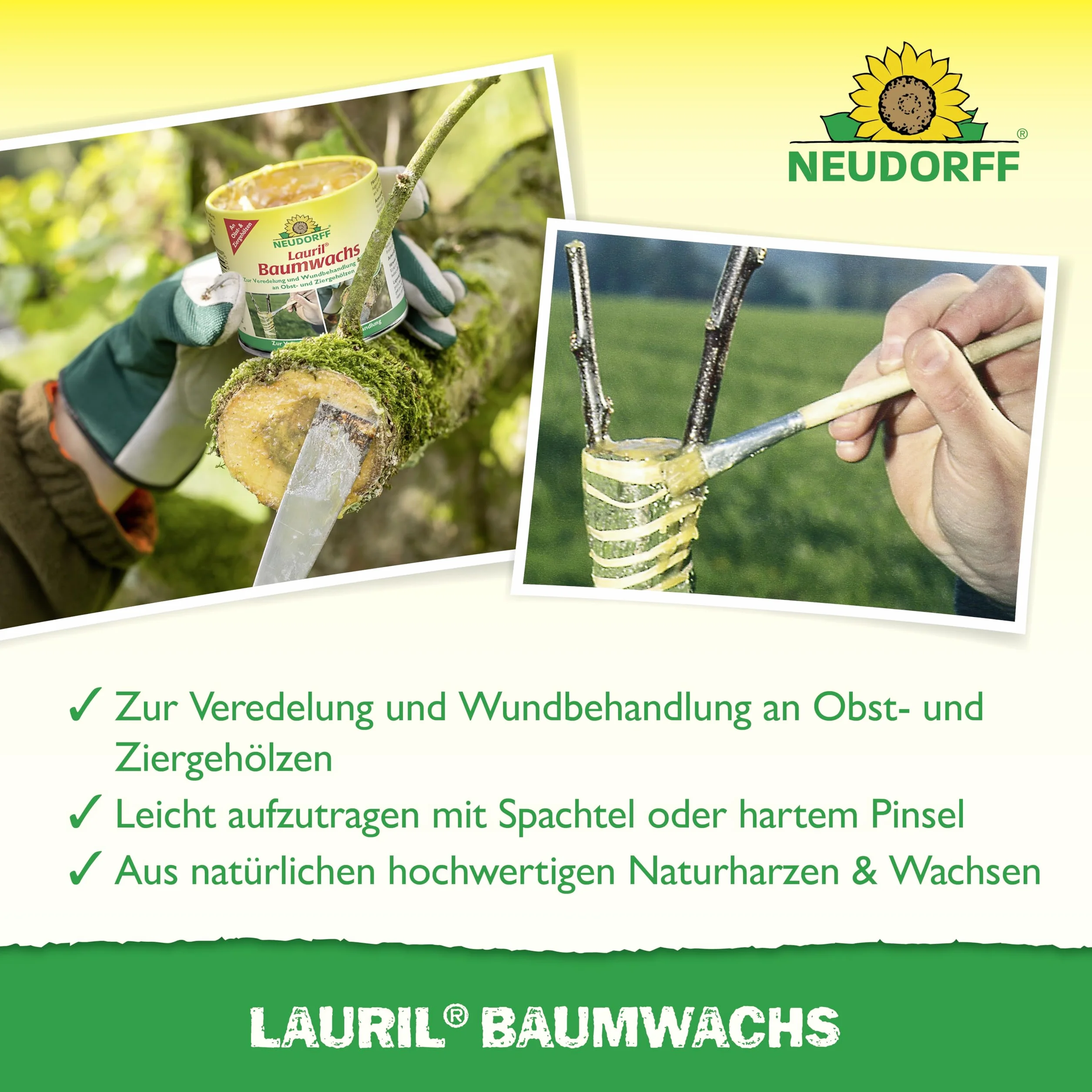 Neudorff 801 Lauril wosk drzewny, 250 g