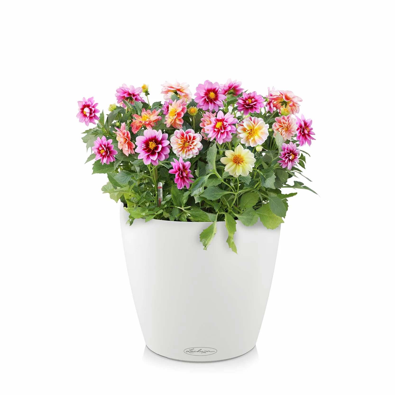 Lechuza Classico Color 18 Donica, Biały, D19 H17 cm