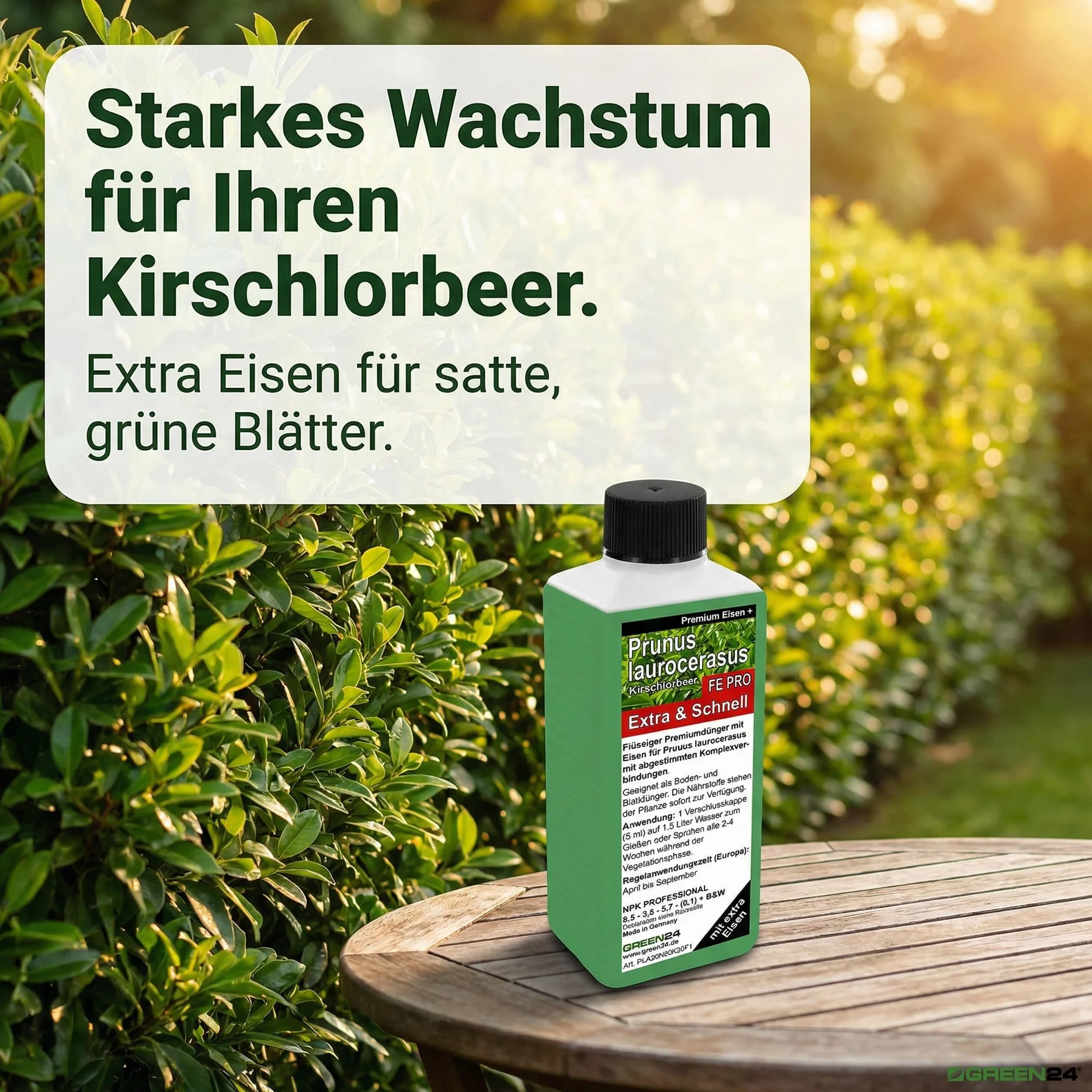 GREEN24 Nawóz laurowirowy FE PRO z żelazem Prunus laurocerasus NPK, nawóz płynny premium