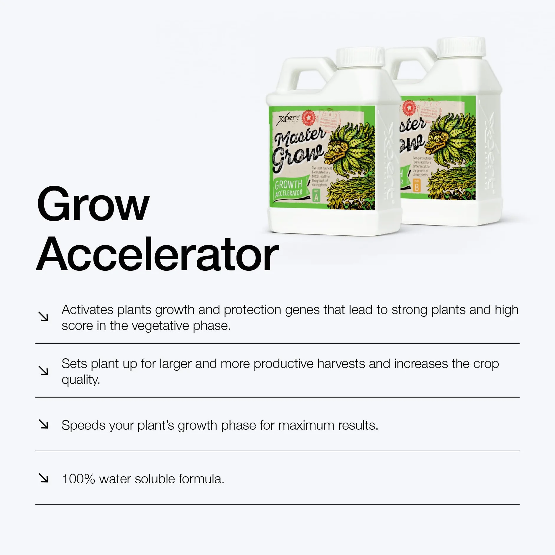 Master Grow A+B - Podstawowy nawóz wzrostowy w fazie wegetatywnej roślin (1L)