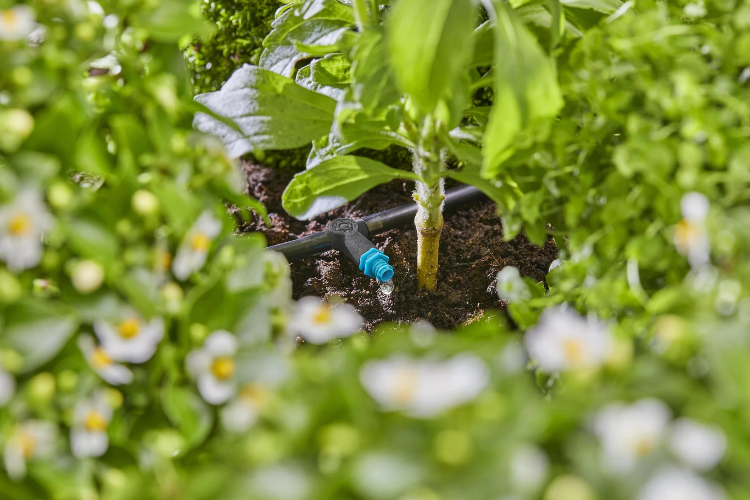 Gardena system Micro-Drip, kroplownik rzędowy 2 l/h: Kroplownik do automat. systemu nawadniania, do roślin z podobnym zapotrzebowaniem na wodę, prosta technika połączeniowa (13317-20)