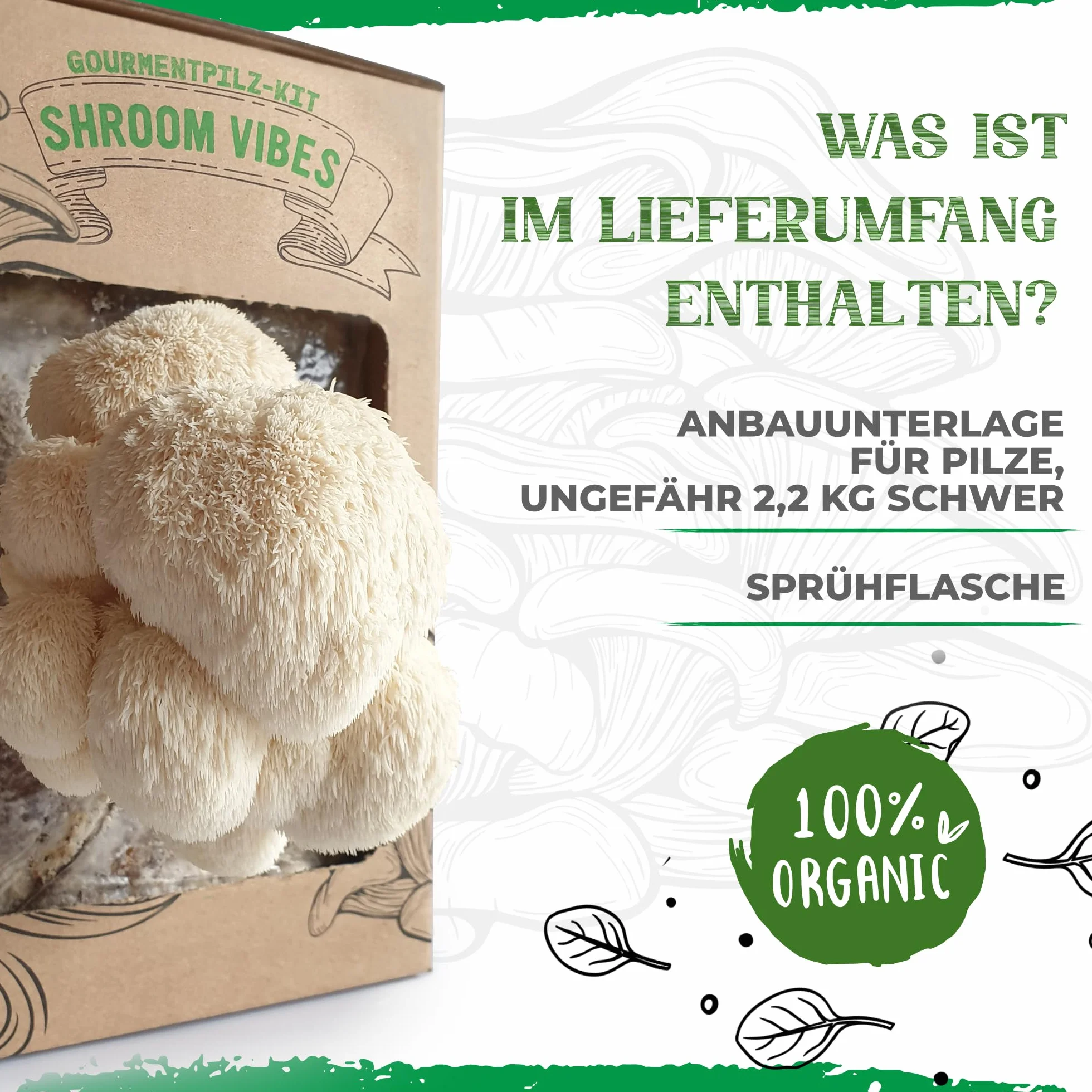 BIO Zestaw do hodowli grzybów | Grzyby gryfola (Hericium erinaceus) dziecinnie proste w uprawie | Zestaw do hodowli grzybów do domu | Kompletny zestaw do hodowli grzybów w ekologicznej jakości
