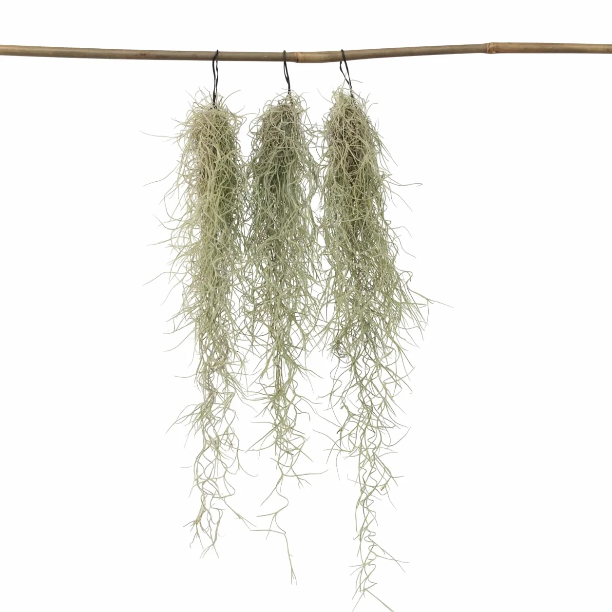 Plant in a Box -