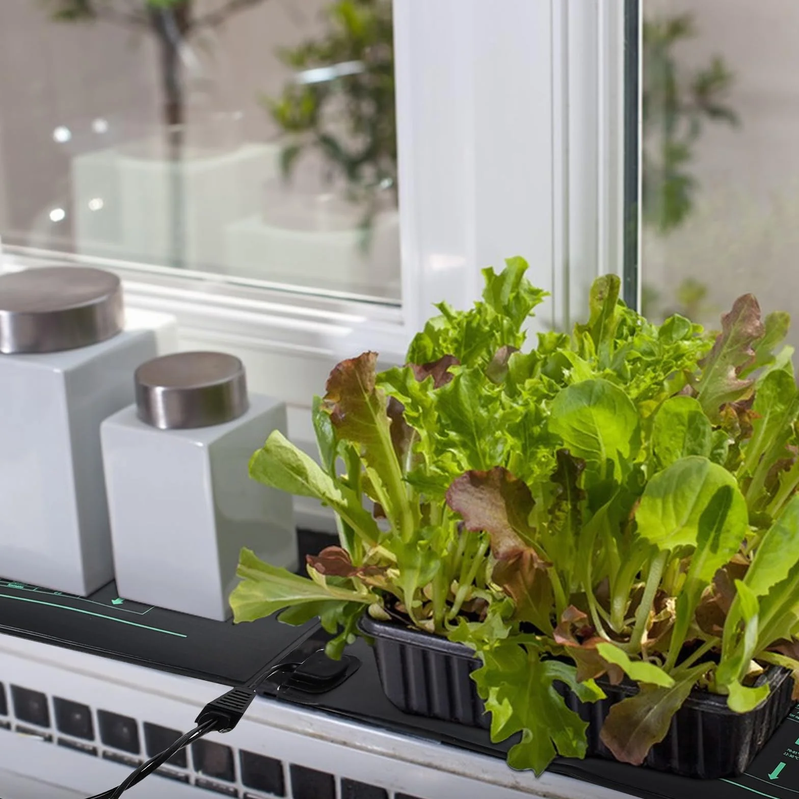 Mata grzewcza z termostatem 30W IP67 wodoodporna do terrarium szklarni 2 maty 1 kontroler