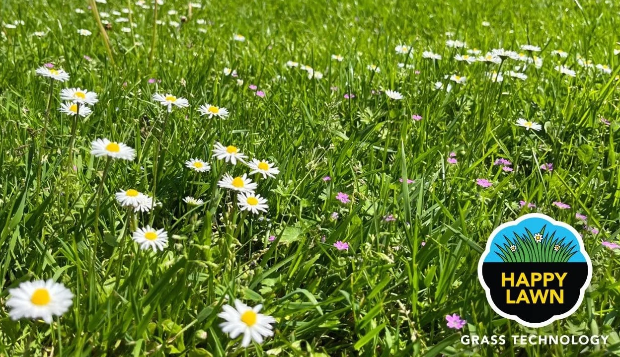 BARENBRUG trawnik z kwiatami HAPPY LAWN 0,5 kg