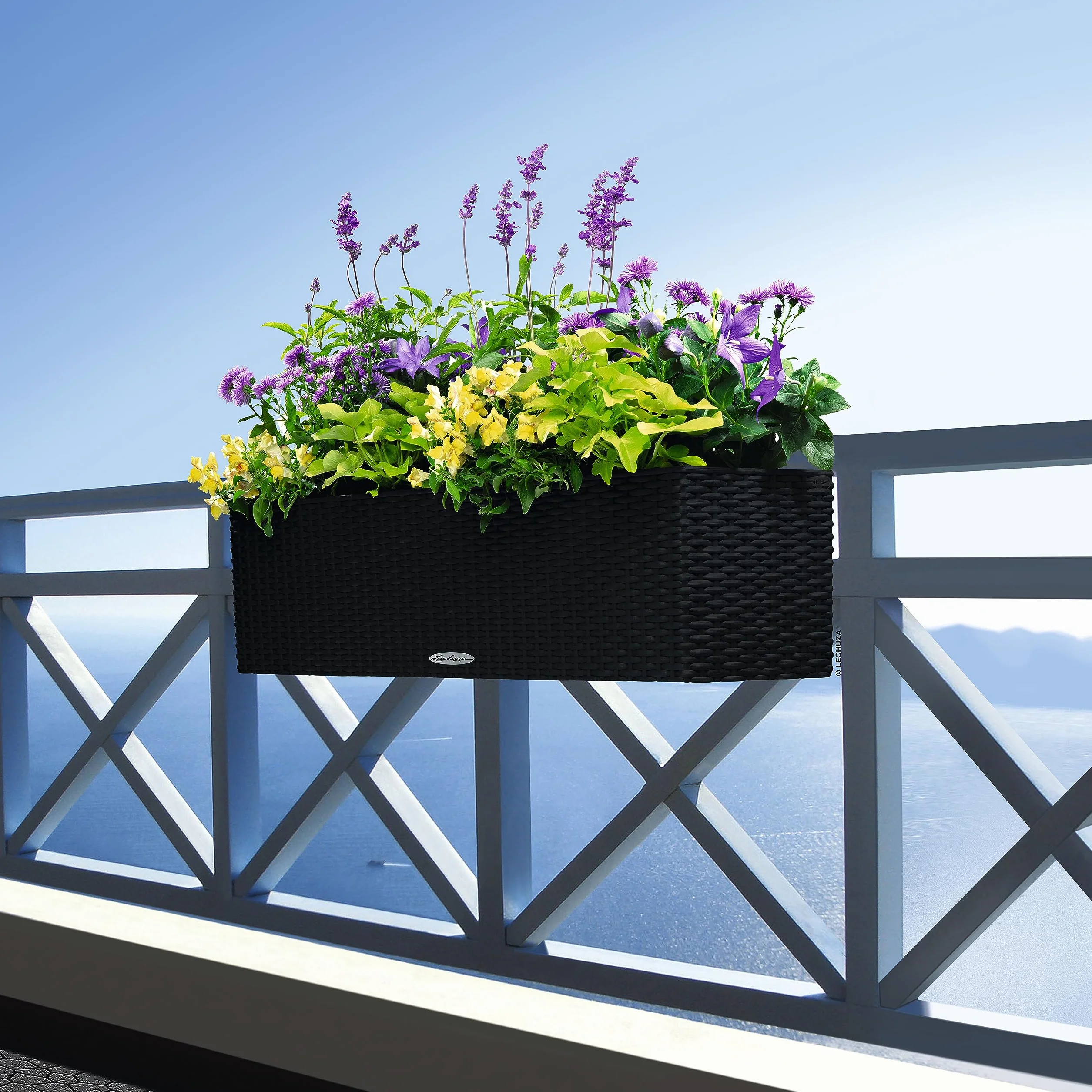 Lechuza Donica Balconera Cottage 80 Grafitowy Czarny System Nawadniania