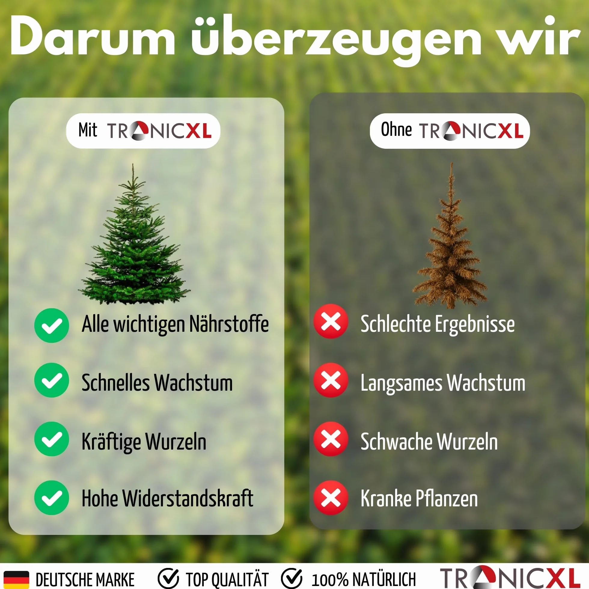 2 l, długotrwały nawóz do drzew iglastych, organiczny, płynny nawóz do drzew iglastych, 2 l, do tui Occidentalis, sosny, świerku, jodły, modrzewia, daglezji, cedru, cisu, płynnego nawozu 2000 ml