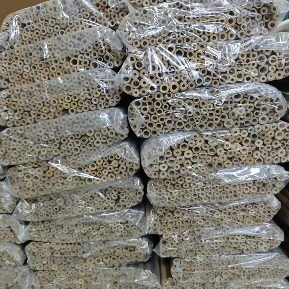 Materiał Wypełniający Rurki Hotelowe dla Owadów - 100 Szt. Naturalna Rurka Bambusowa 15 cm - Akcesoria do Domków Pszczół - Przyjazne dla Środowiska w Ogrodzie