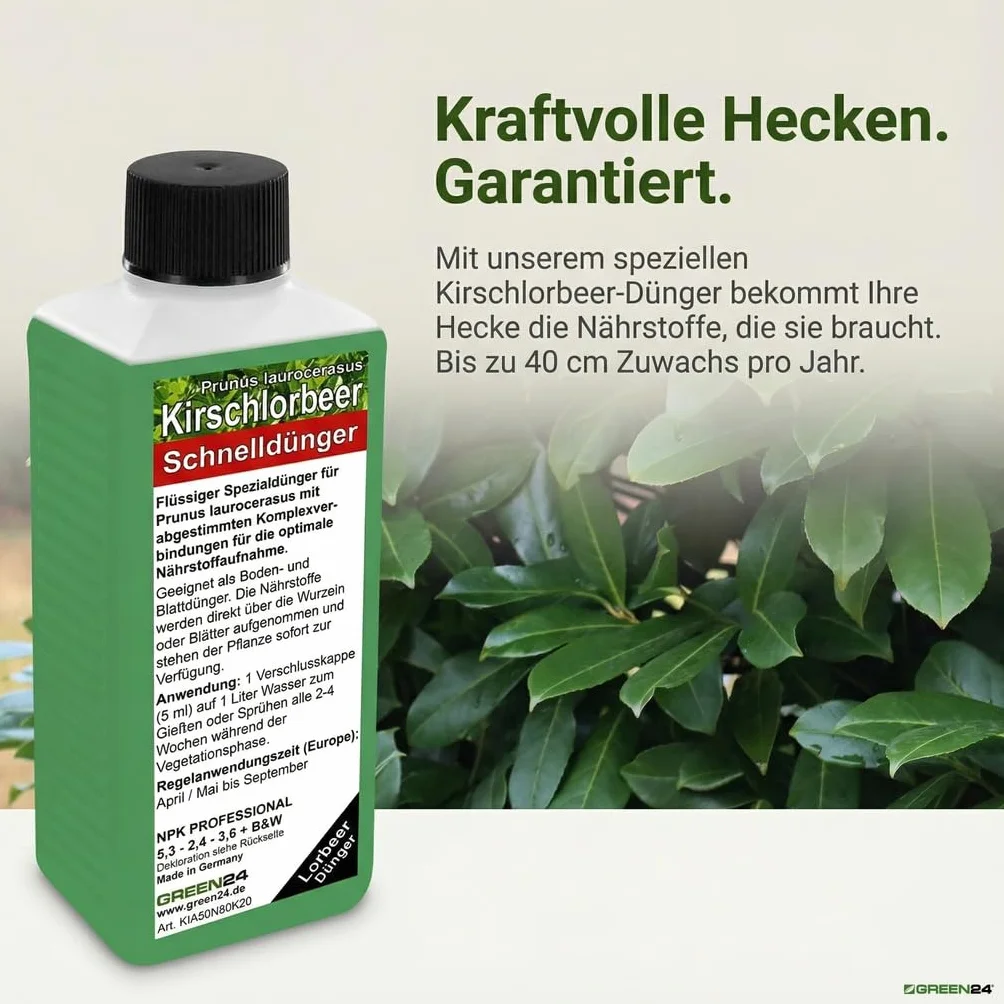 Prunus laurocerasus nawóz do laurowy w płynie premium