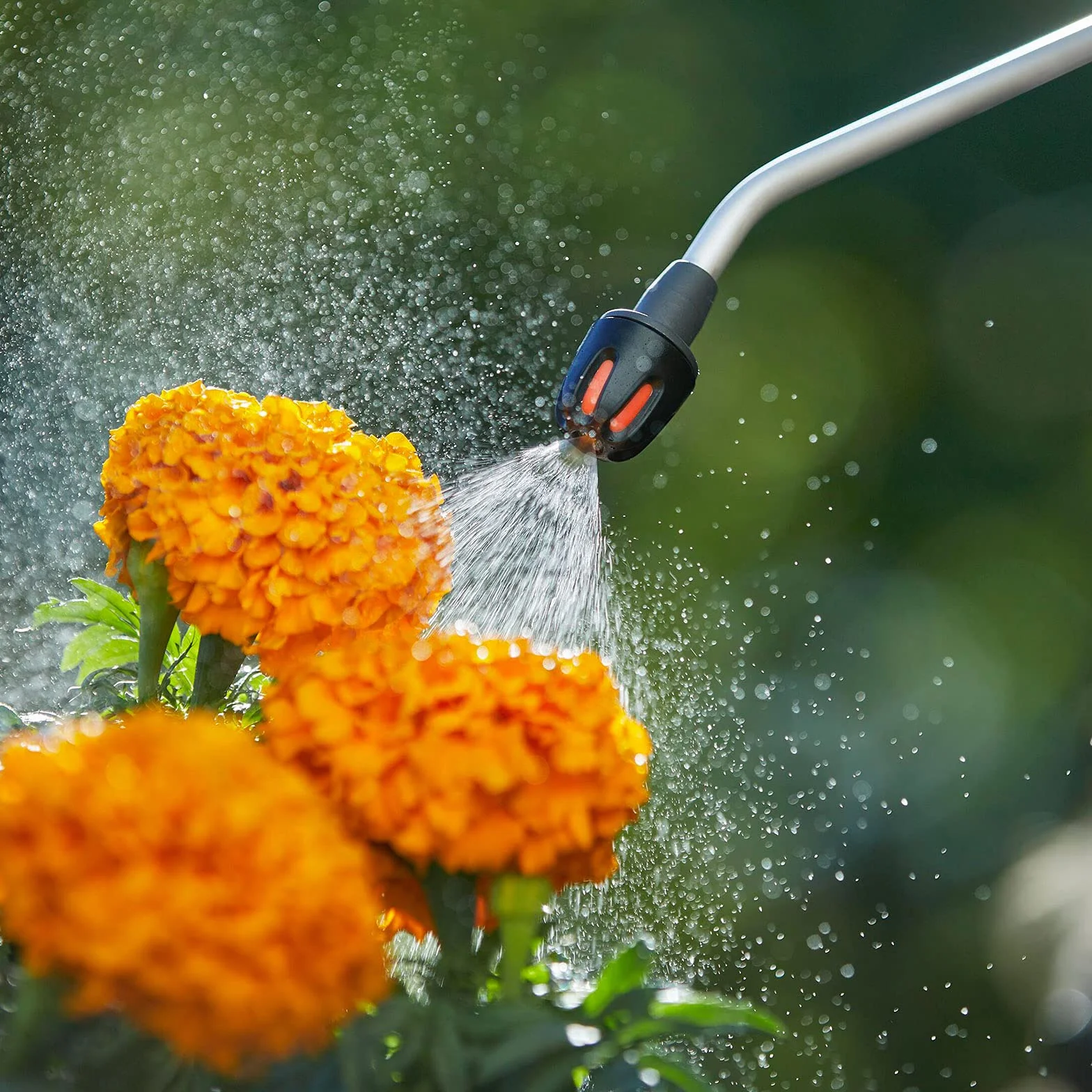 Gardena opryskiwacz ciśnieniowy 5l Comfort: Opryskiwacz ciśnieniowy z wbudowanym stopniem, uchwytem lancy z funkcją blokady, paskiem do noszenia na ramieniu i zaworem nadciśnienia (11130-20)