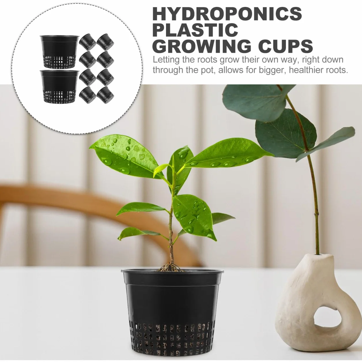 Angoily Doniczki hydroponiczne z siatki, 10 sztuk, 13 x 13 x 12 cm, kosz na rośliny z tworzywa sztucznego, do hydroponiki, do ogrodu, siatki, doniczki, do uprawy roślin, kosz na rośliny, kolor czarny