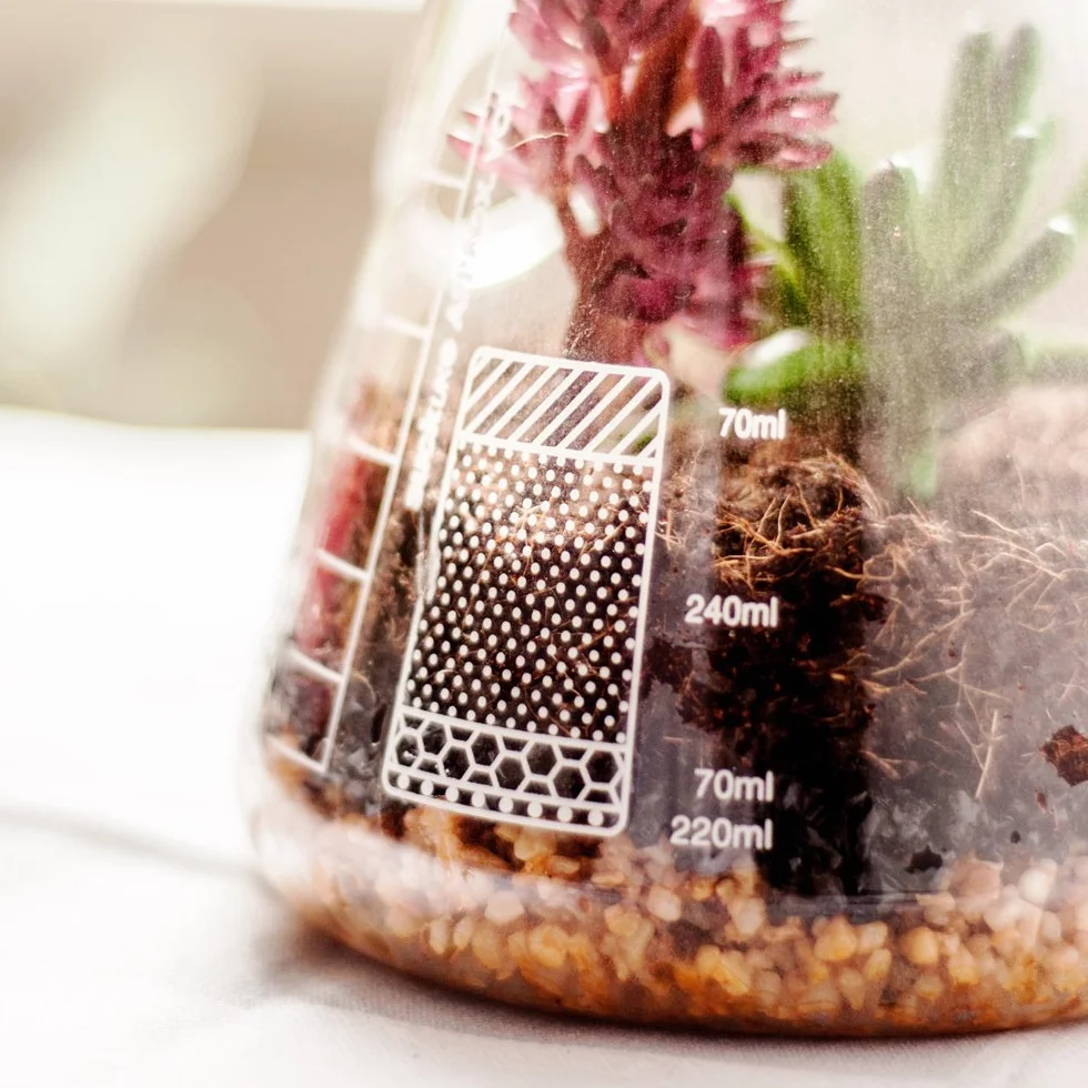 Suck UK Zestaw do terrarium | Uprawiaj własne rośliny terrarium | Zestaw do roślin wewnętrznych | Słoik terrarium, ziemia terrarium i węgiel aktywowany | Prezenty dla roślin i ogrodnictwo dla mężczyzn