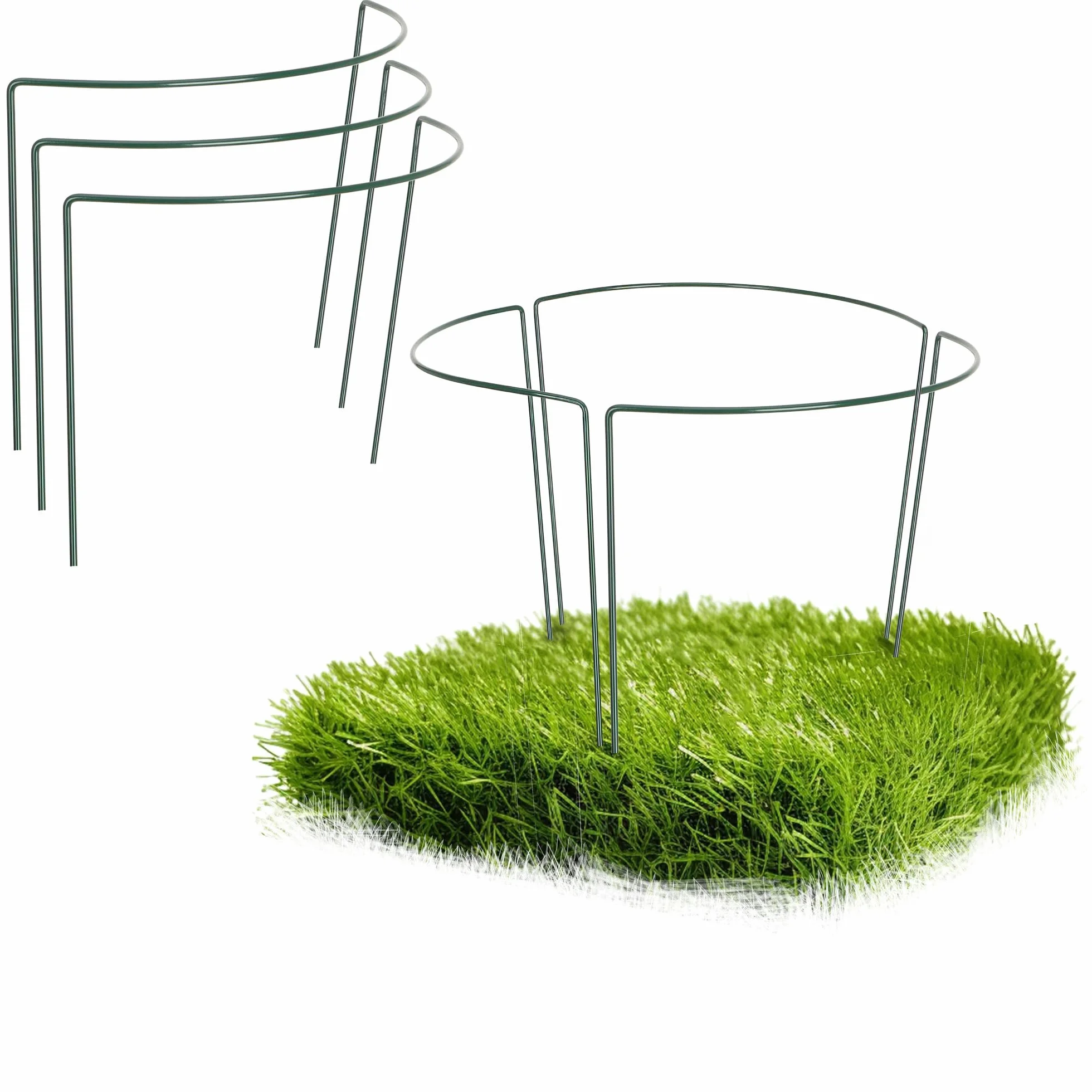 COM-FOUR® 6x Uchwyt do kwiatów i bylin, do kwiatów, bylin i innych roslin ogrodowych i balkonowych, pólokragly