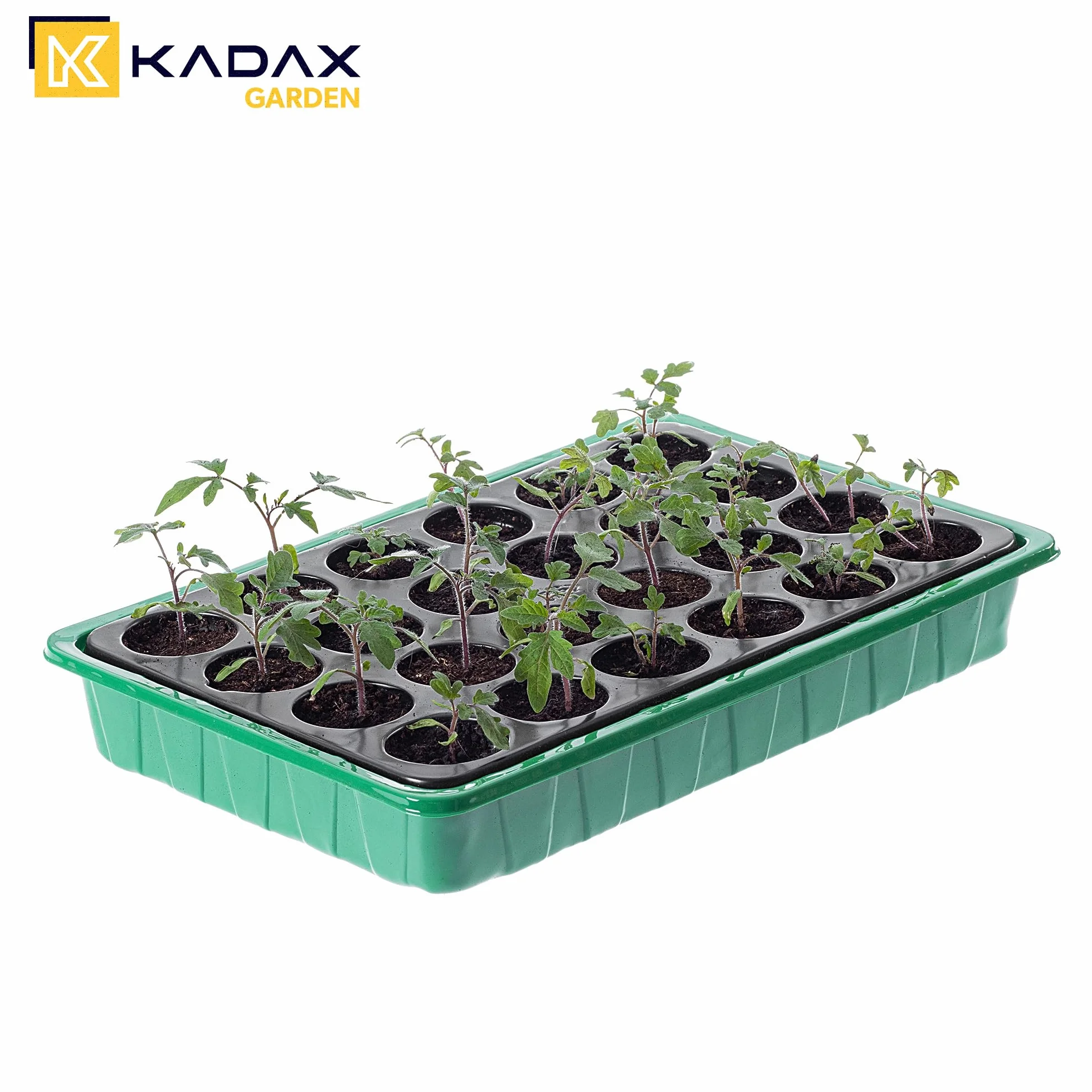 KADAX Szklarnia pokojowa, 39 x 24,5 cm, mini szklarnia z tworzywa sztucznego, skrzynka do uprawy, zestaw do uprawy, miska do uprawy z pokrywką, mini szklarnia (24 otwory na rośliny, zielona)