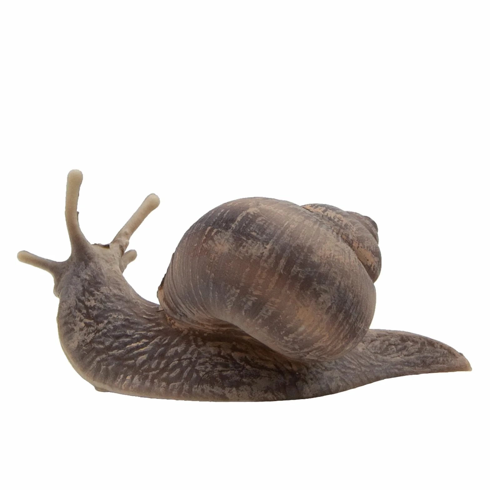 Bullyland Figurka Ślimaka Jadalnego