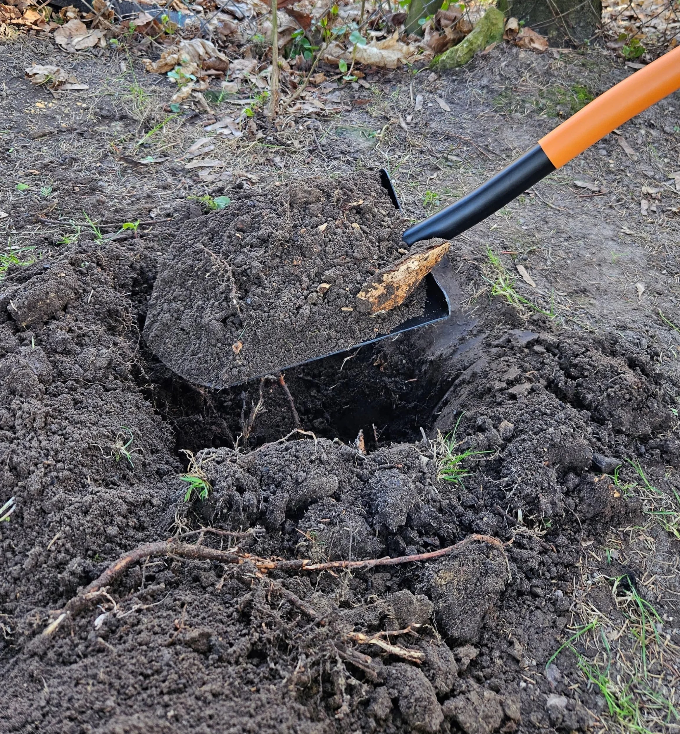 Mivos Ergonomiczna łopata ze stali węglowej – 124 cm – łopata ogrodnicza z hartowanym ostrzem i uchwytem D – do twardych podłóg kamienistych – wyprodukowano w UE