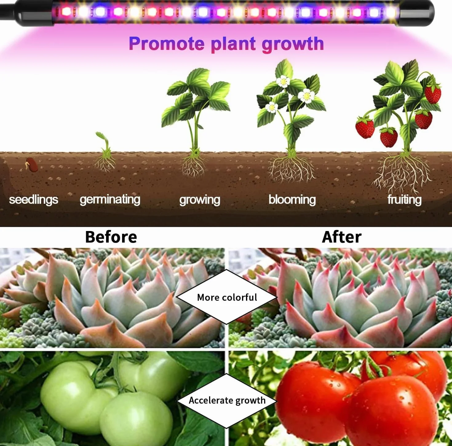 Garpsen Światło roślinne, 3 głowice czerwone - ciepłe niebieskie białe pełne spektrum wewnątrz roślin rosnące światło, 60 LED LED nasiona Start Grow light z automatycznym włączaniem/wyłączaniem