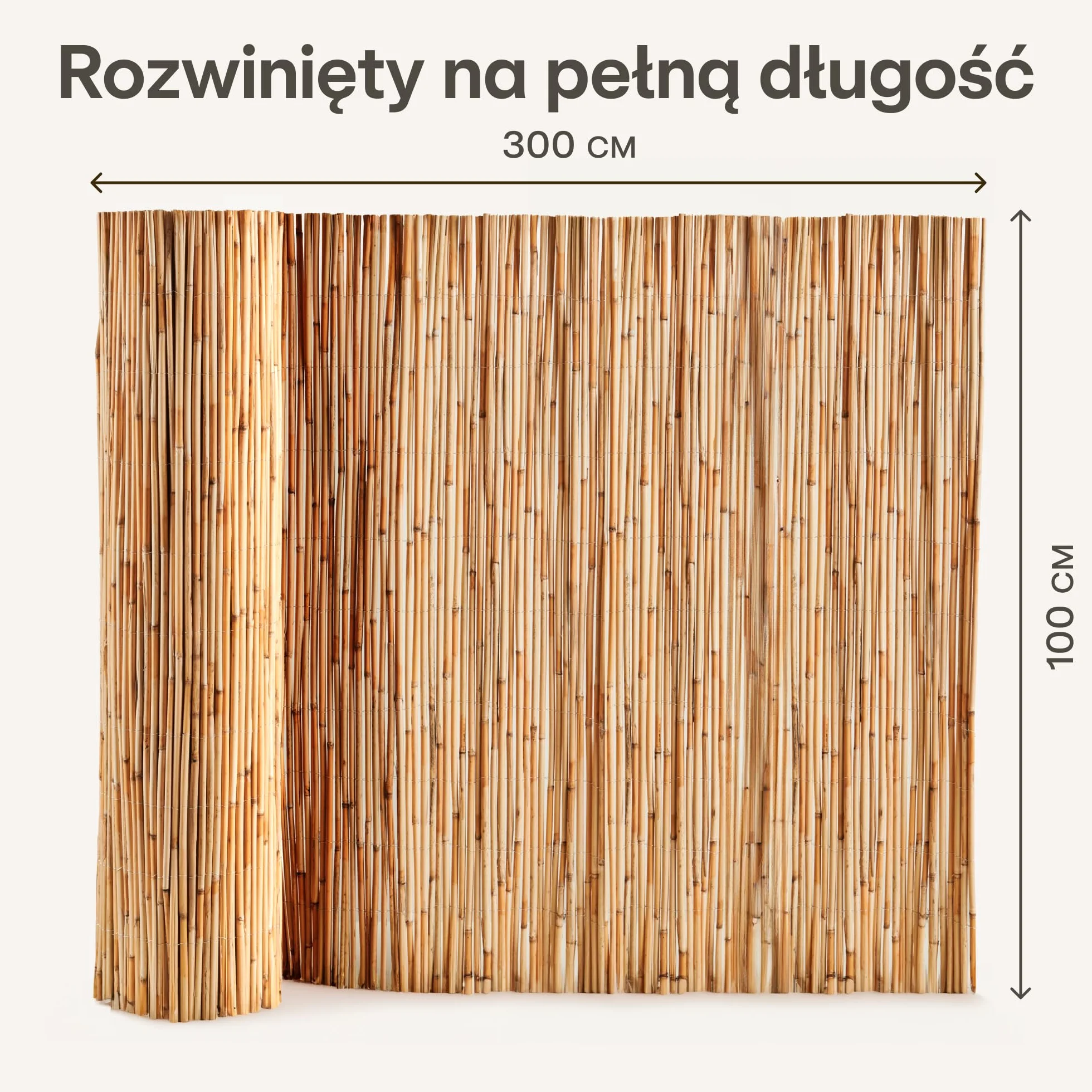 Praknu Osłona balkonowa z trzciny - Naturalna trzcina z certyfikatem FSC® - Wszechstronne zastosowanie wewnątrz i na zewnątrz - Idealna na balkony i do ogrodów - 100 x 300 cm