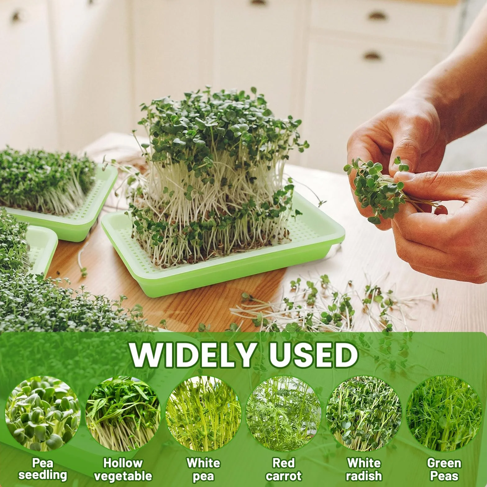 Miska do uprawy rzeżuchy, misa na kiełki, mikrogreens, miska na kiełki, misa na kiełki, Microgreen