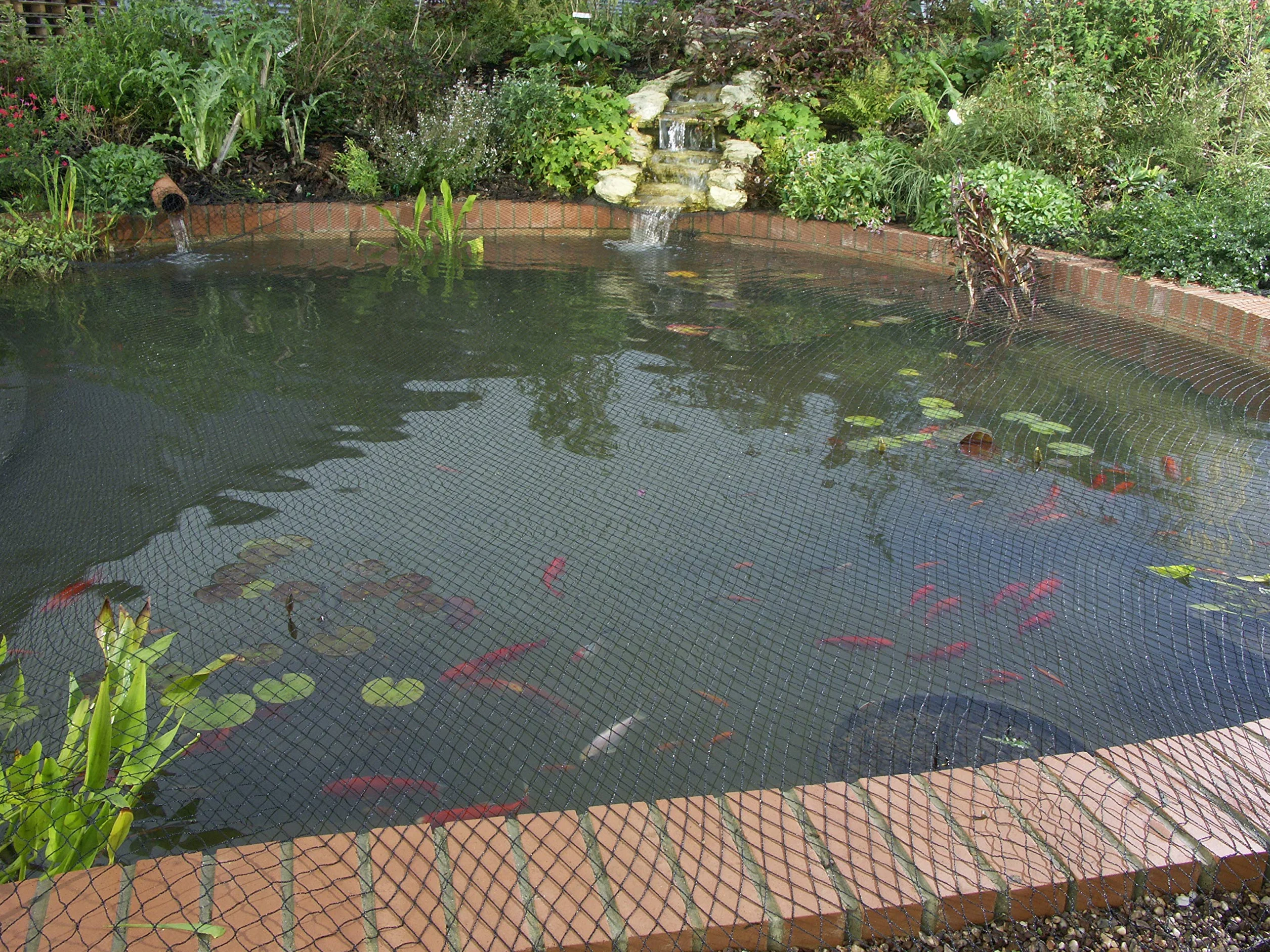 Blagdon Clearview siatka na staw - 6 m x 5 m