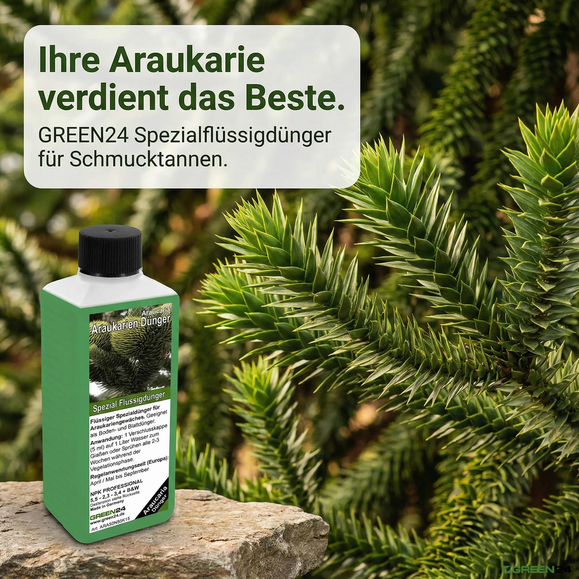 GREEN24 nawóz do araukarii HIGH-TECH, nawóz dla Araucaria