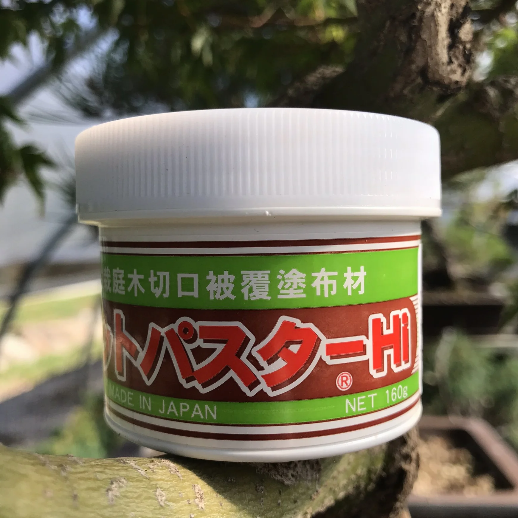 Mastyks japo?ski, pasta lecznicza specyficzna dla bonsai li?ciastych, 190 gr