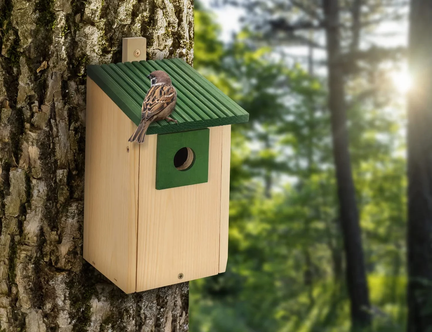 2 x skrzynka lęgowa - zestaw drewnianych skrzynek lęgowych, domek dla ptaków, z naturalnego drewna, odporna na warunki atmosferyczne, konstrukcja z litego drewna, naturalne drewno + zielony, B20-NZx2