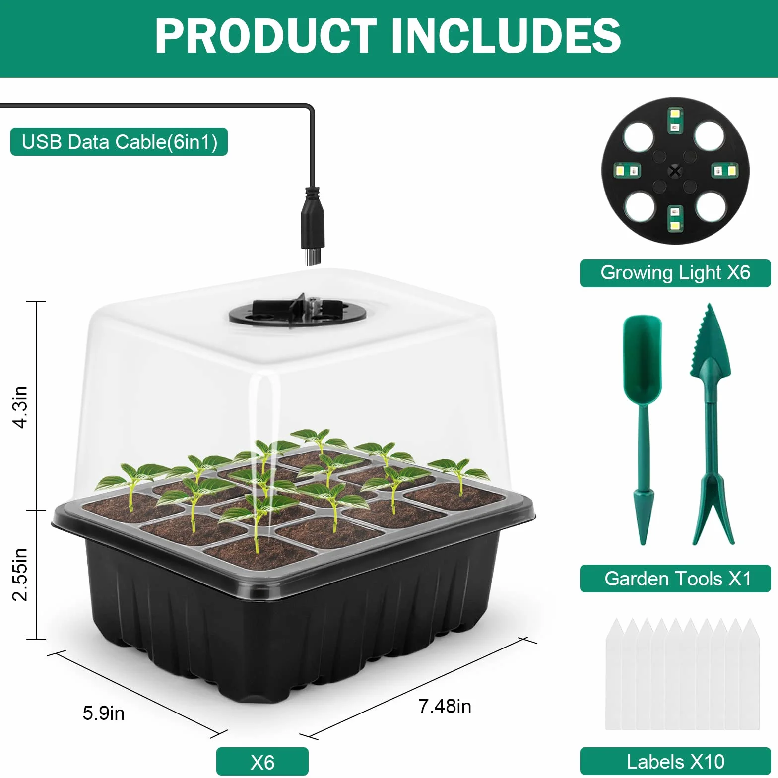 RIOGOO (6 placstic seed starter tray)