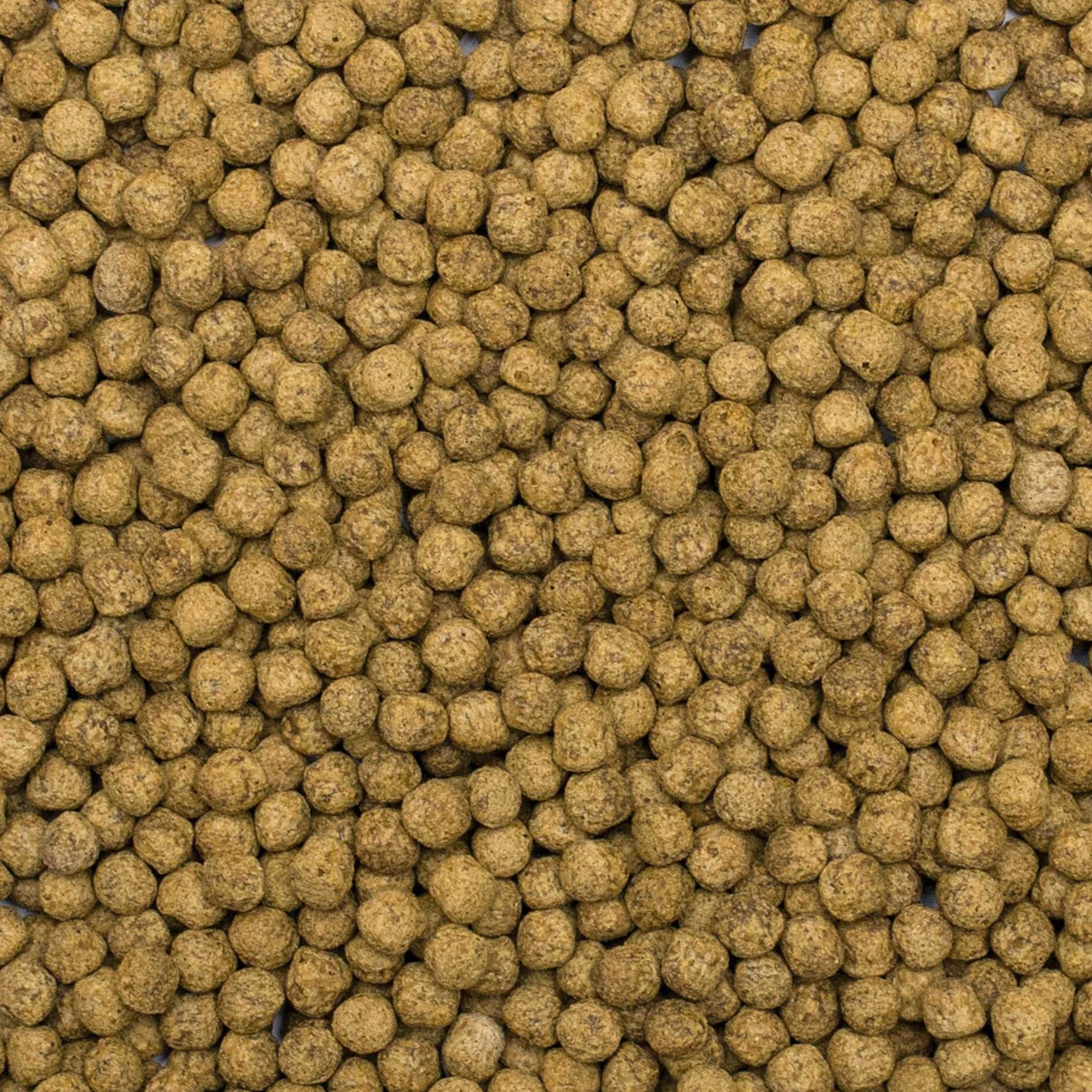 Pokarm dla ryb w oczkach wodnych KOI SILKWORM&ASTAXANTHIN PELLET SIZE "M" 1000ml / 320g