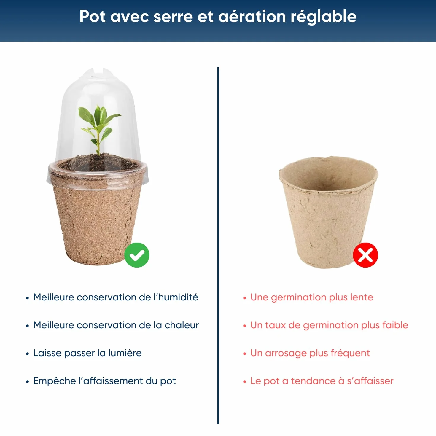NOPALIA® Zestaw Bonsai do uprawy z nasionami, prezent dla dorosłych i dzieci